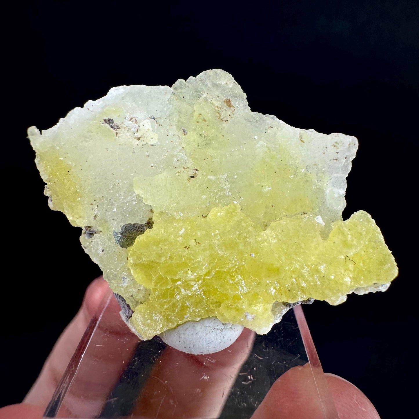 Brucite | Yellow Crystal, Lustrous Mineral Specimen From Pakistan