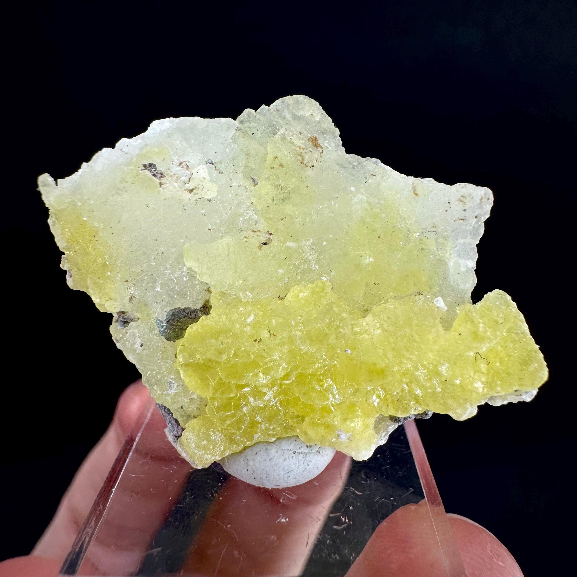 Brucite | Yellow Crystal, Lustrous Mineral Specimen From Pakistan