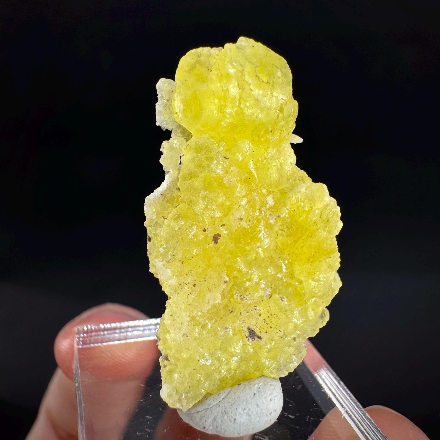 Brucite | Yellow Crystal, Lustrous Mineral Specimen From Pakistan