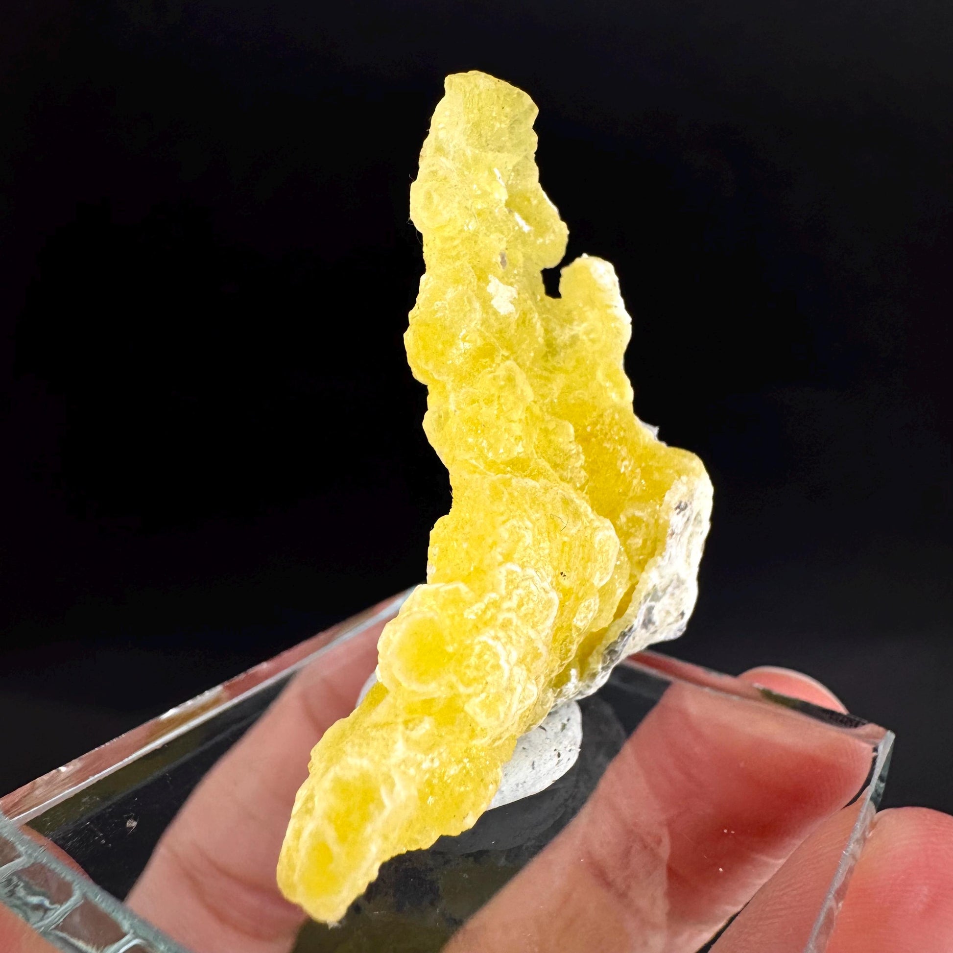 Brucite | Yellow Crystal, Lustrous Mineral Specimen From Pakistan