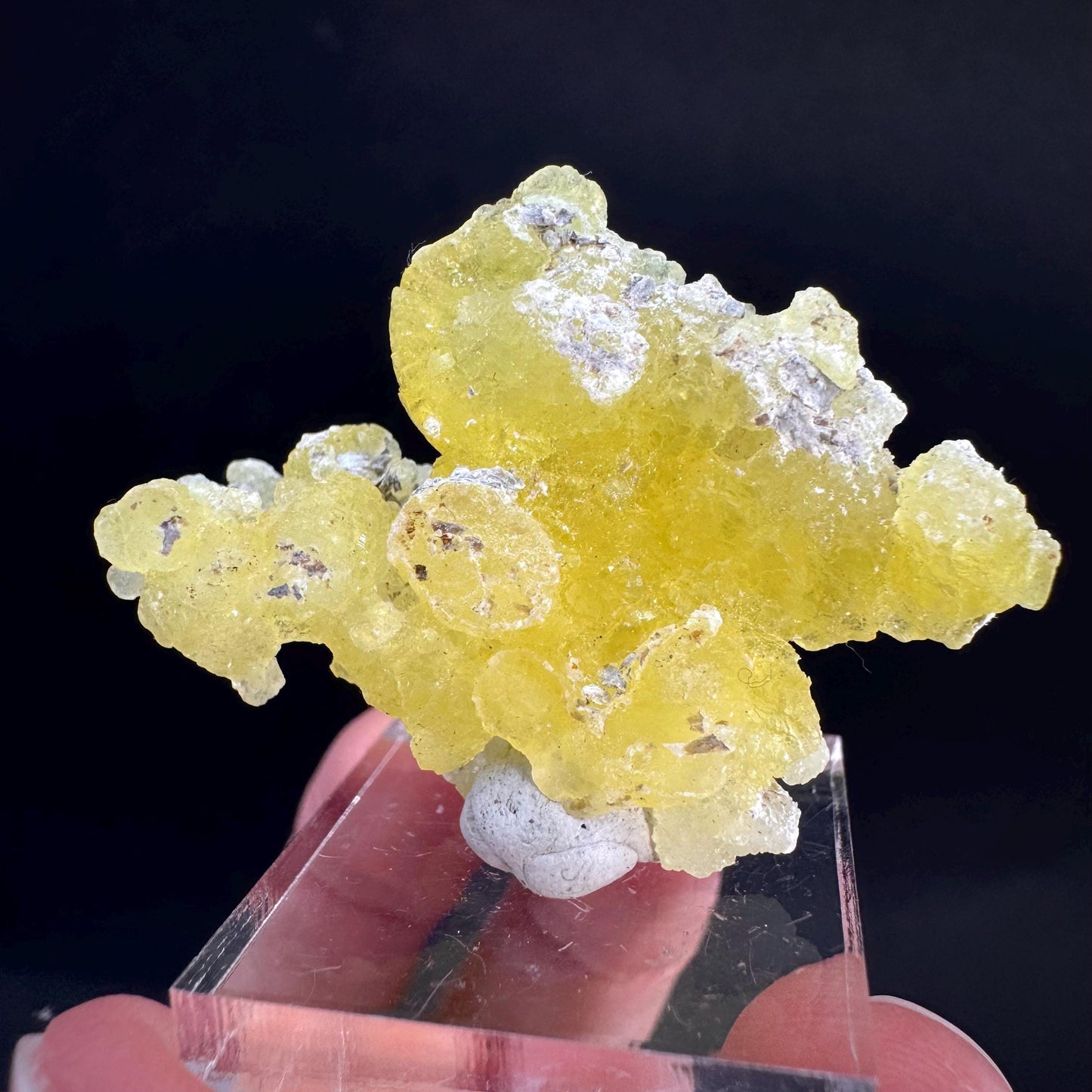 Brucite | Yellow Crystal, Lustrous Mineral Specimen From Pakistan