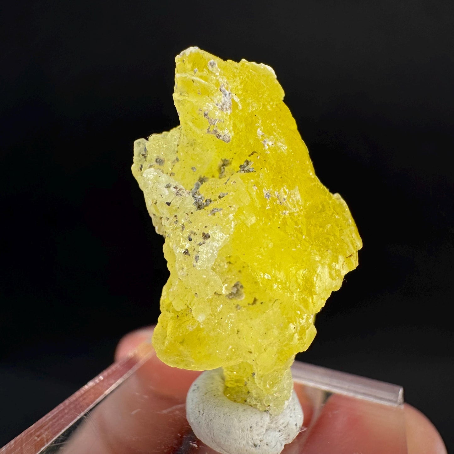 Brucite | Yellow Crystal, Lustrous Mineral Specimen From Pakistan