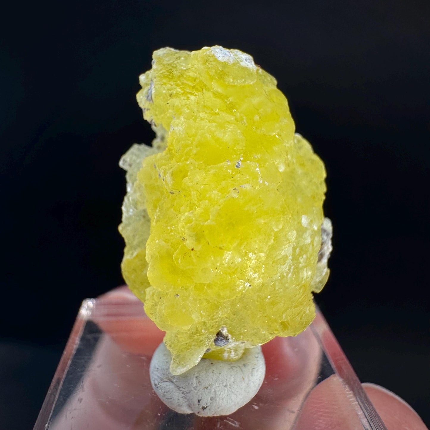 Brucite | Yellow Crystal, Lustrous Mineral Specimen From Pakistan