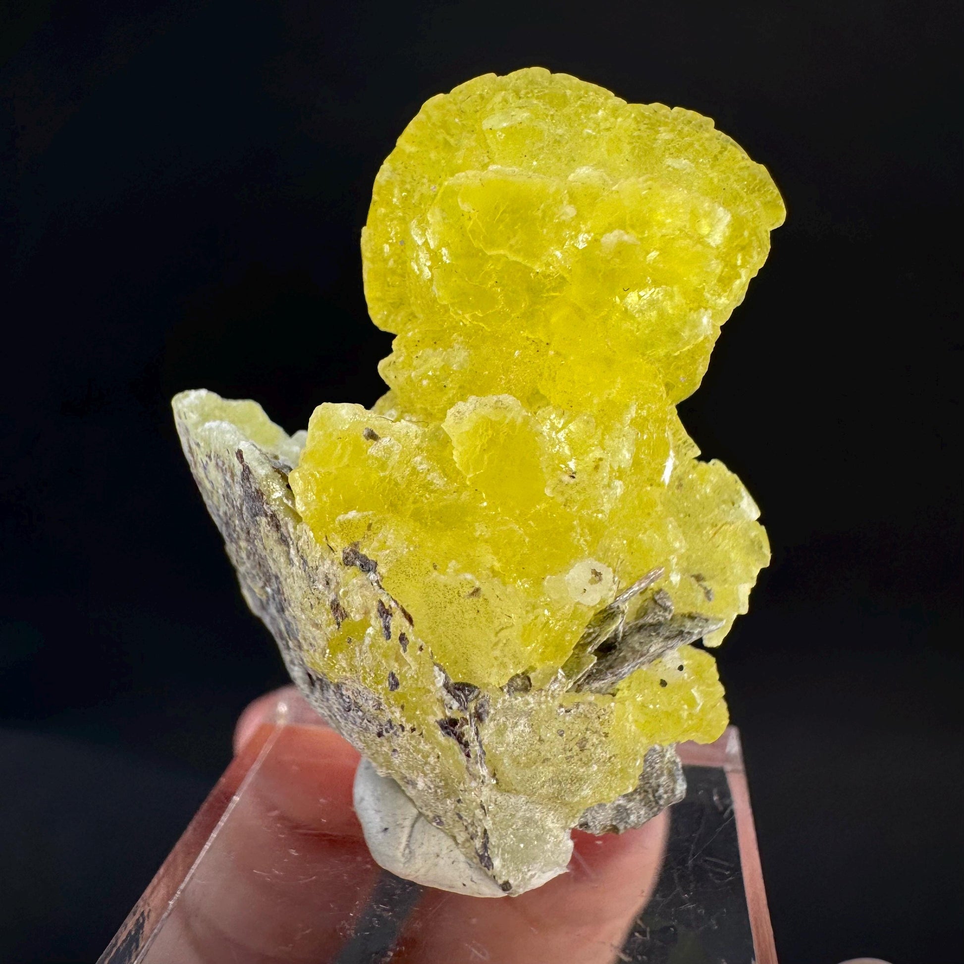 Brucite | Yellow Crystal, Lustrous Mineral Specimen From Pakistan