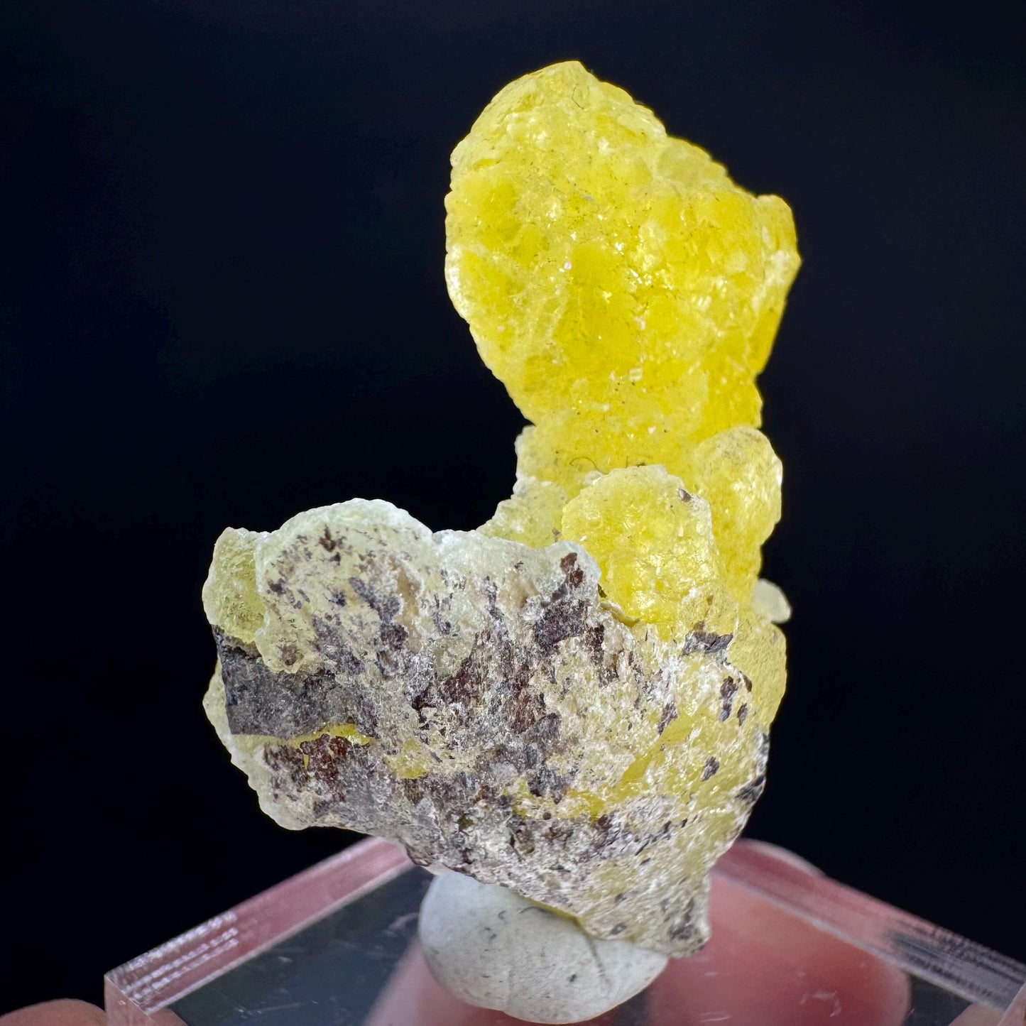 Brucite | Yellow Crystal, Lustrous Mineral Specimen From Pakistan