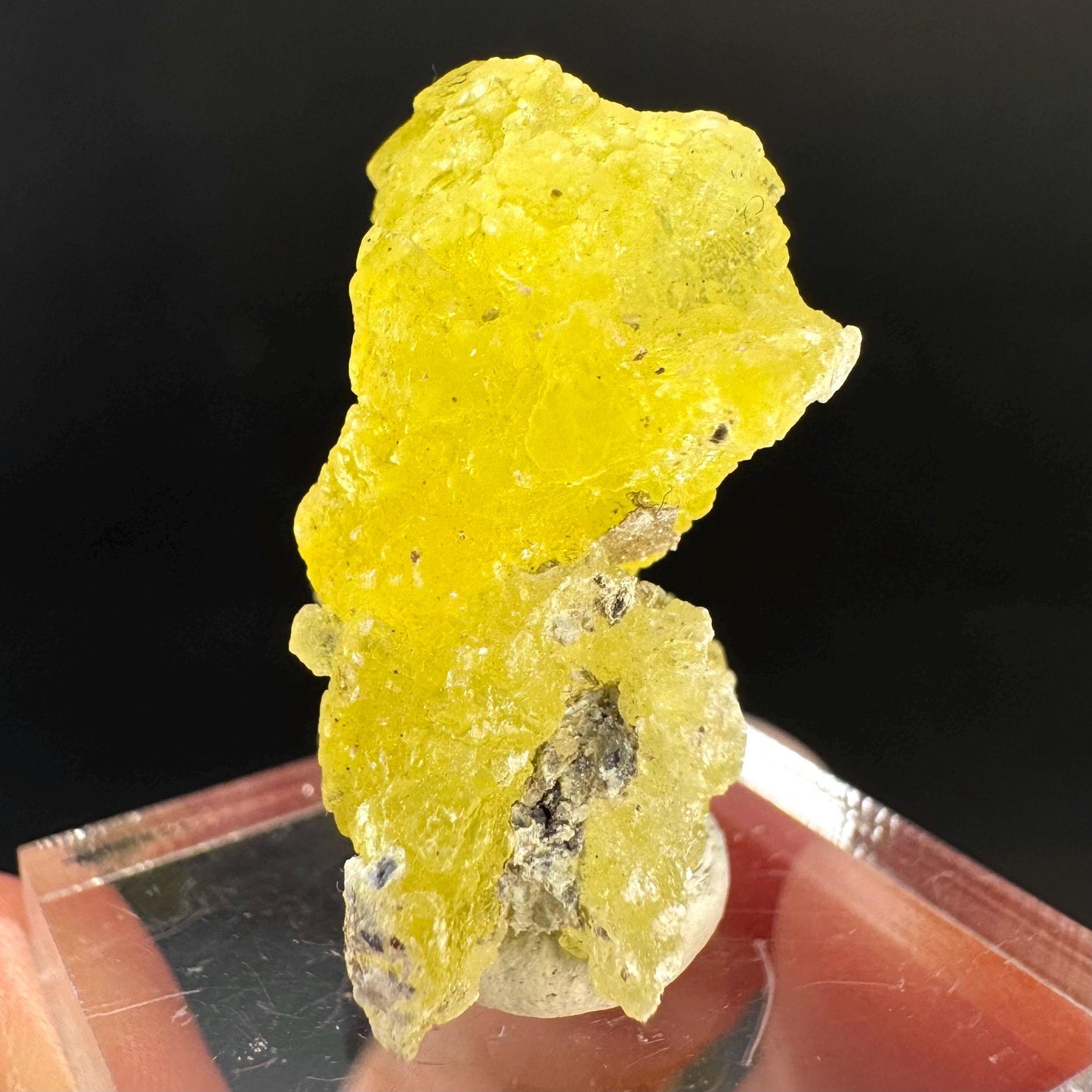 Brucite | Yellow Crystal, Lustrous Mineral Specimen From Pakistan