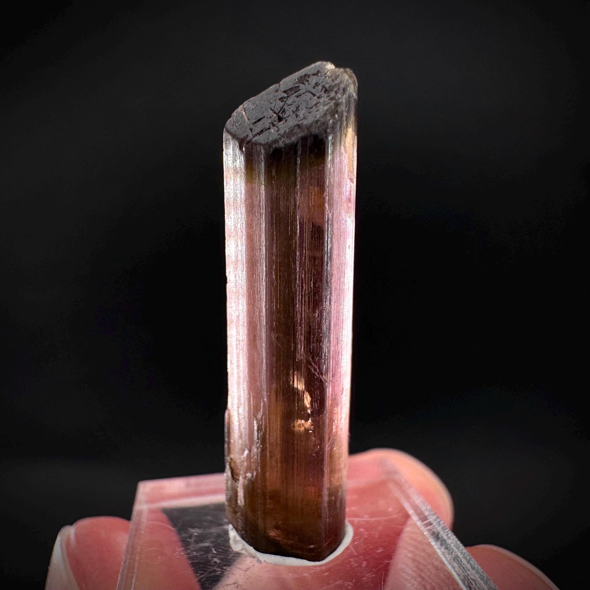 Elbaite Tourmaline | Pink & Green Crystal, mineral specimen from Paprok