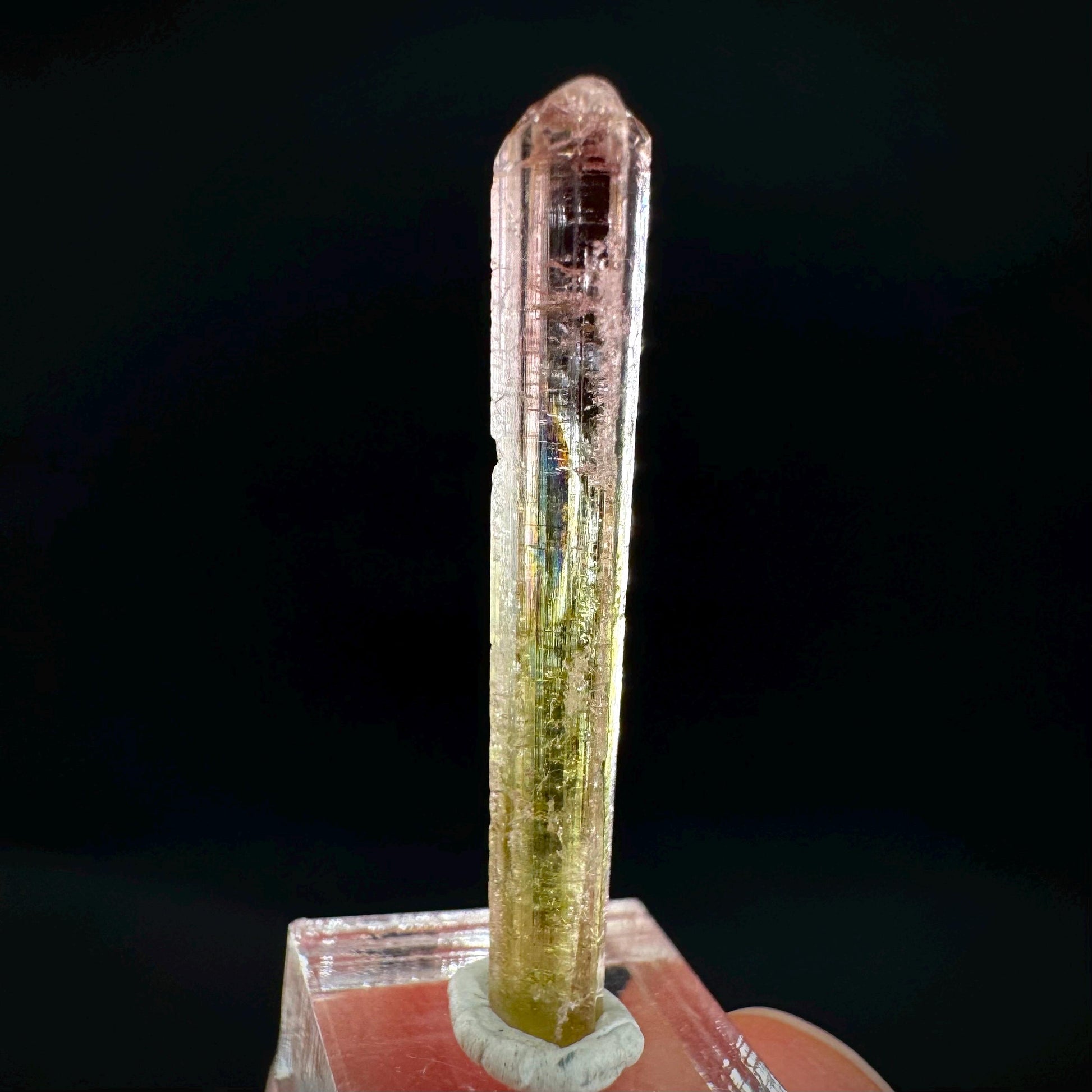 Watermelon Tourmaline | Green & Pink Elbaite Crystal, mineral specimen from Paprok