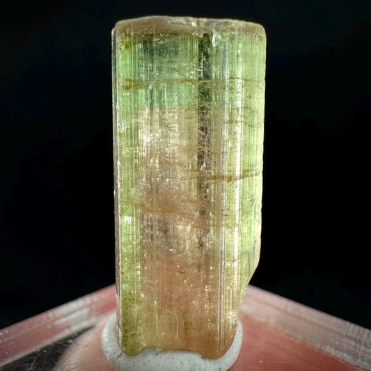 Watermelon Tourmaline | Green & Pink Elbaite Crystal, mineral specimen from Paprok
