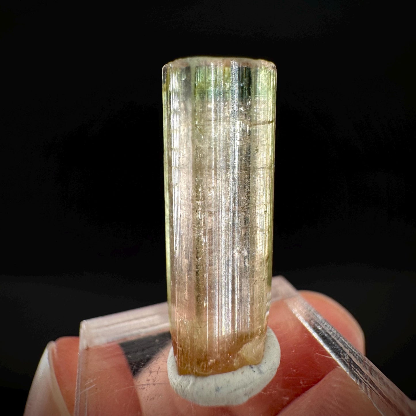 Watermelon Tourmaline | Green & Pink Elbaite Crystal, mineral specimen from Paprok