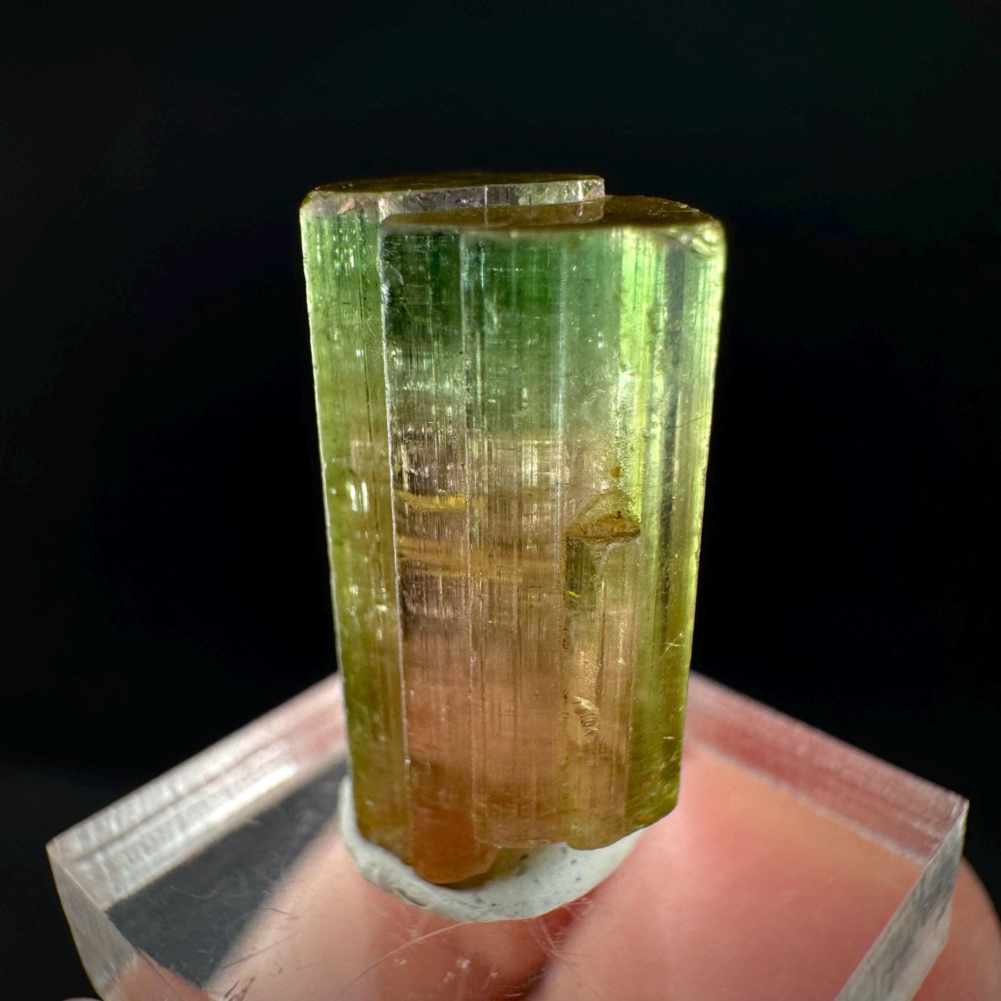 Watermelon Tourmaline | Green & Pink Elbaite Crystal, mineral specimen from Paprok