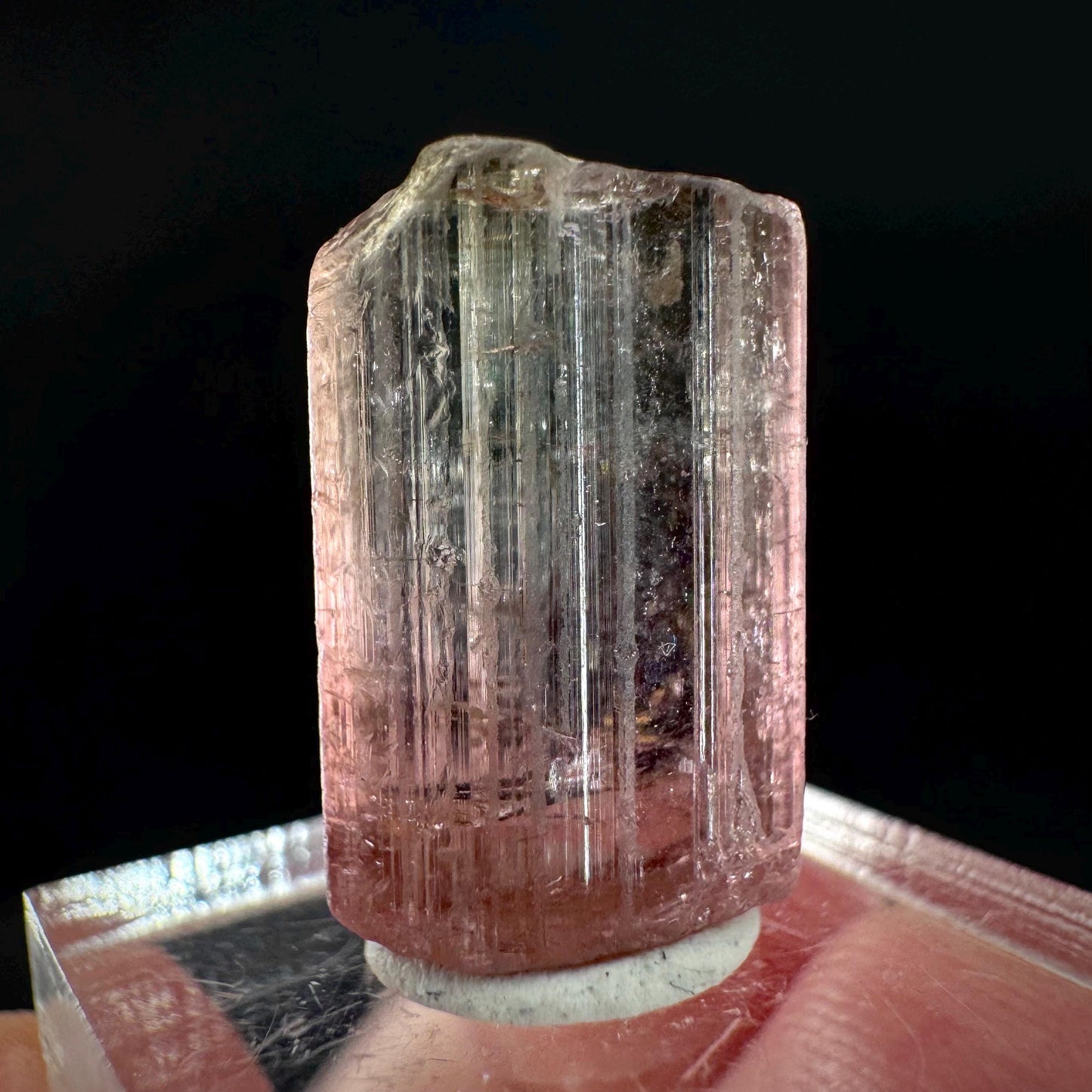 Watermelon Tourmaline | Green & Pink Elbaite Crystal, mineral specimen from Paprok