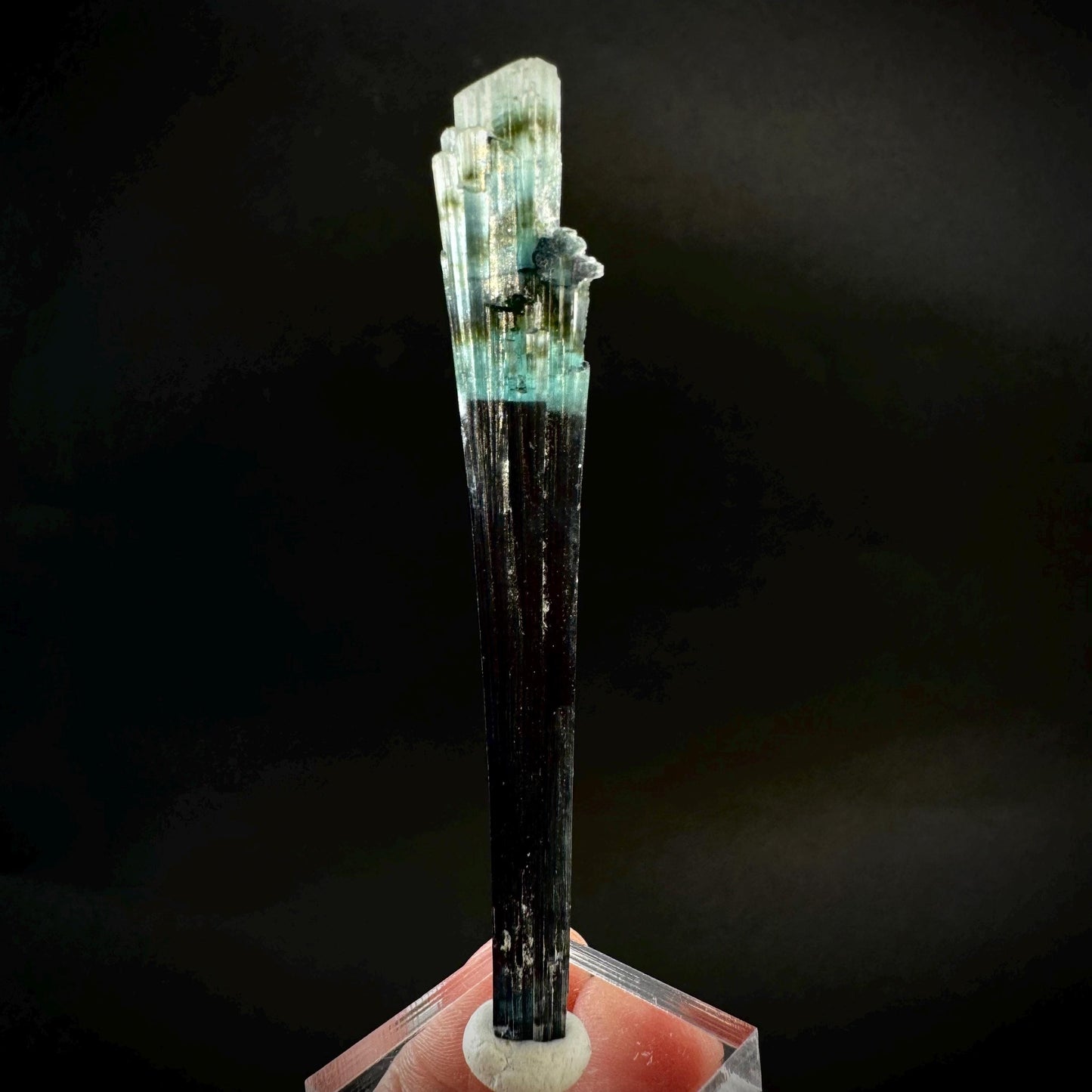 Indicolite Tourmaline Crystal | Natural Blue-Green Mineral Specimen from Pakistan