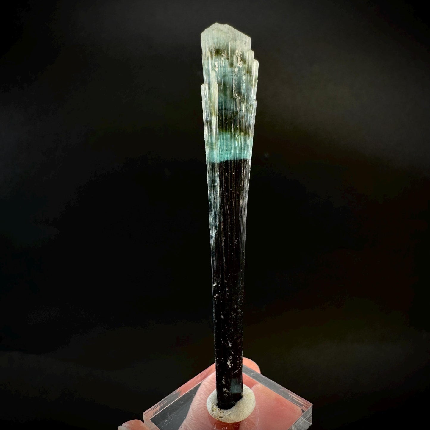 Indicolite Tourmaline Crystal | Natural Blue-Green Mineral Specimen from Pakistan