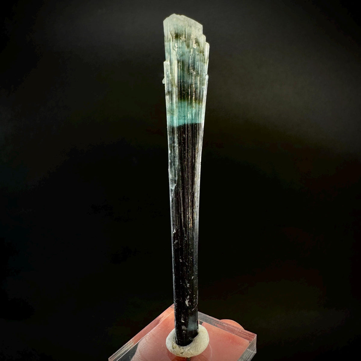 Indicolite Tourmaline Crystal | Natural Blue-Green Mineral Specimen from Pakistan