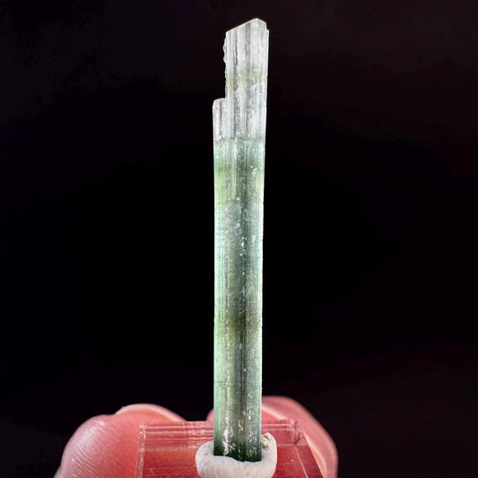 Indicolite Tourmaline Crystal | Natural Blue-Green Mineral Specimen from Pakistan