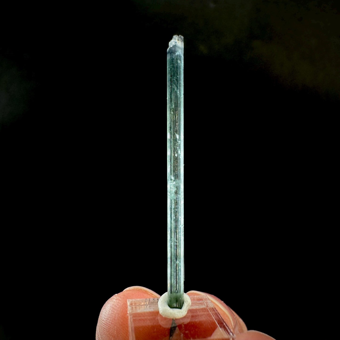 Indicolite Tourmaline Crystal | Natural Blue-Green Mineral Specimen from Pakistan