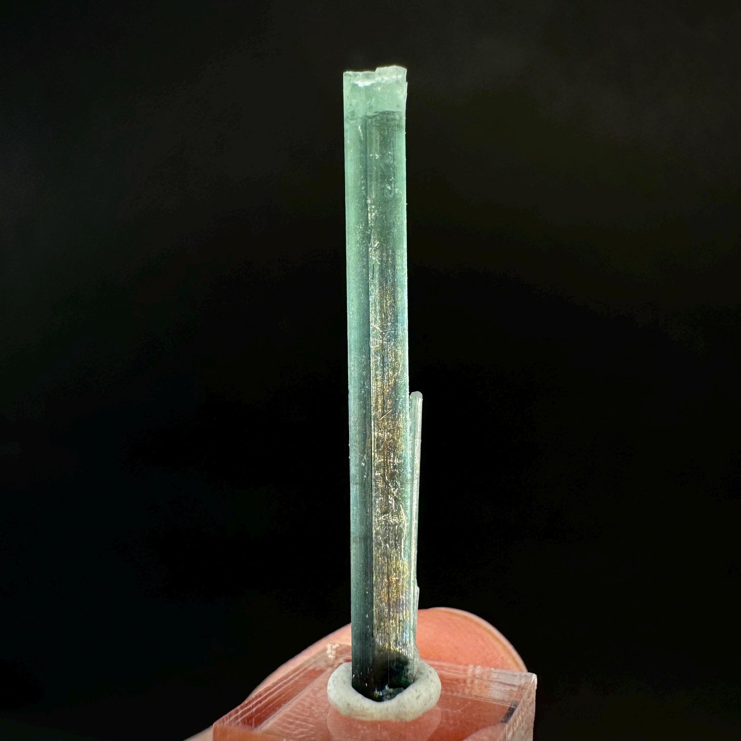 Indicolite Tourmaline Crystal | Natural Blue-Green Mineral Specimen from Pakistan