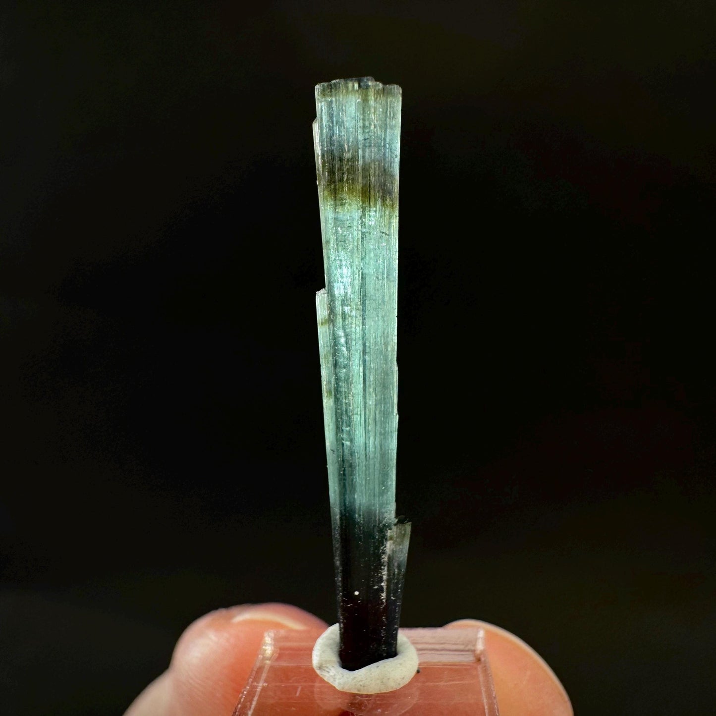 Indicolite Tourmaline Crystal | Natural Blue-Green Mineral Specimen from Pakistan