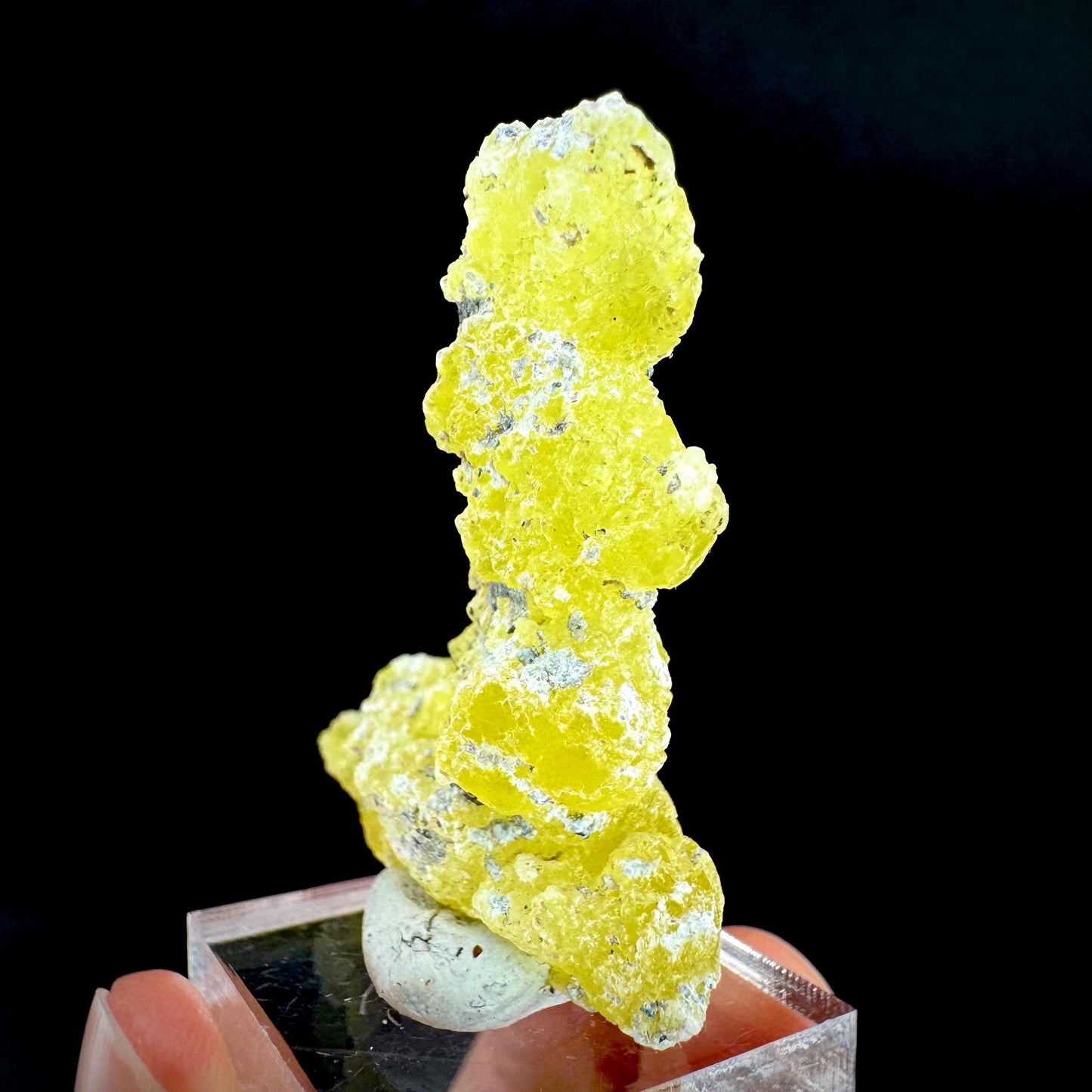 Brucite | Yellow Crystal, Lustrous Mineral Specimen From Pakistan
