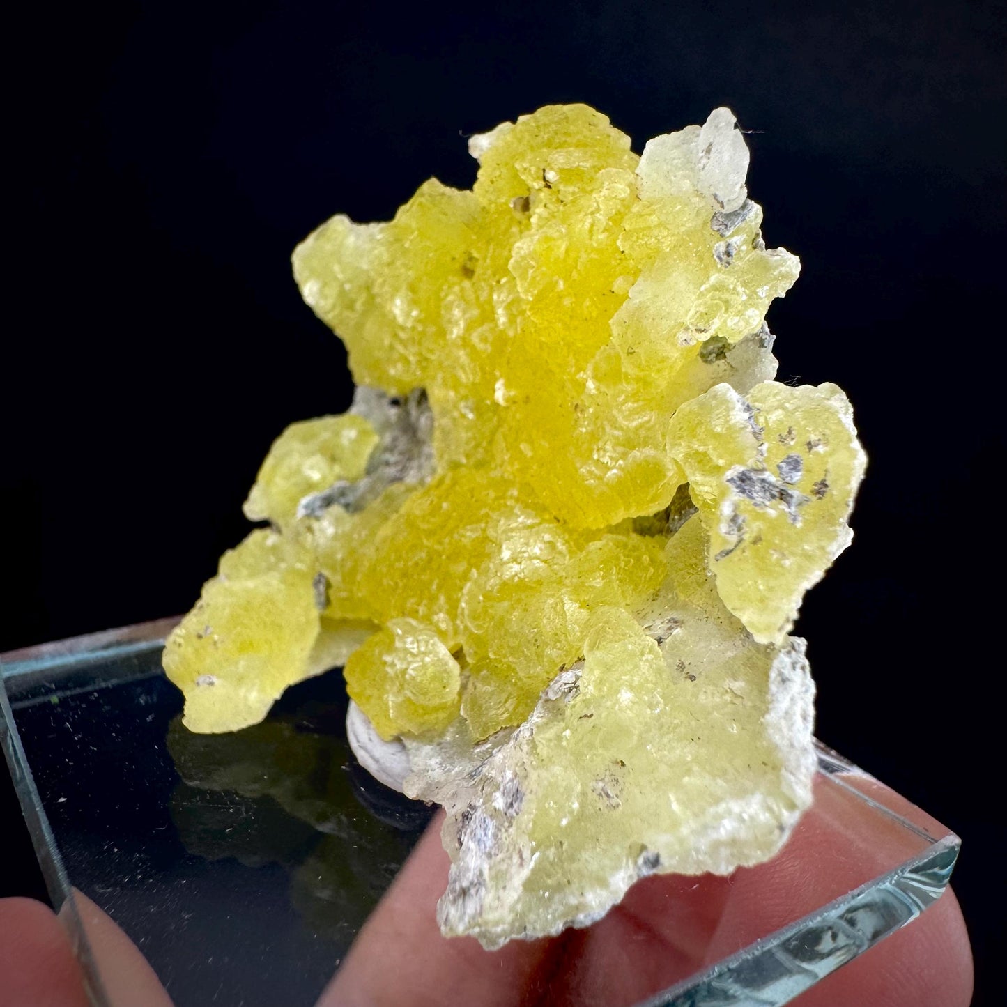 Brucite | Yellow Crystal, Lustrous Mineral Specimen From Pakistan