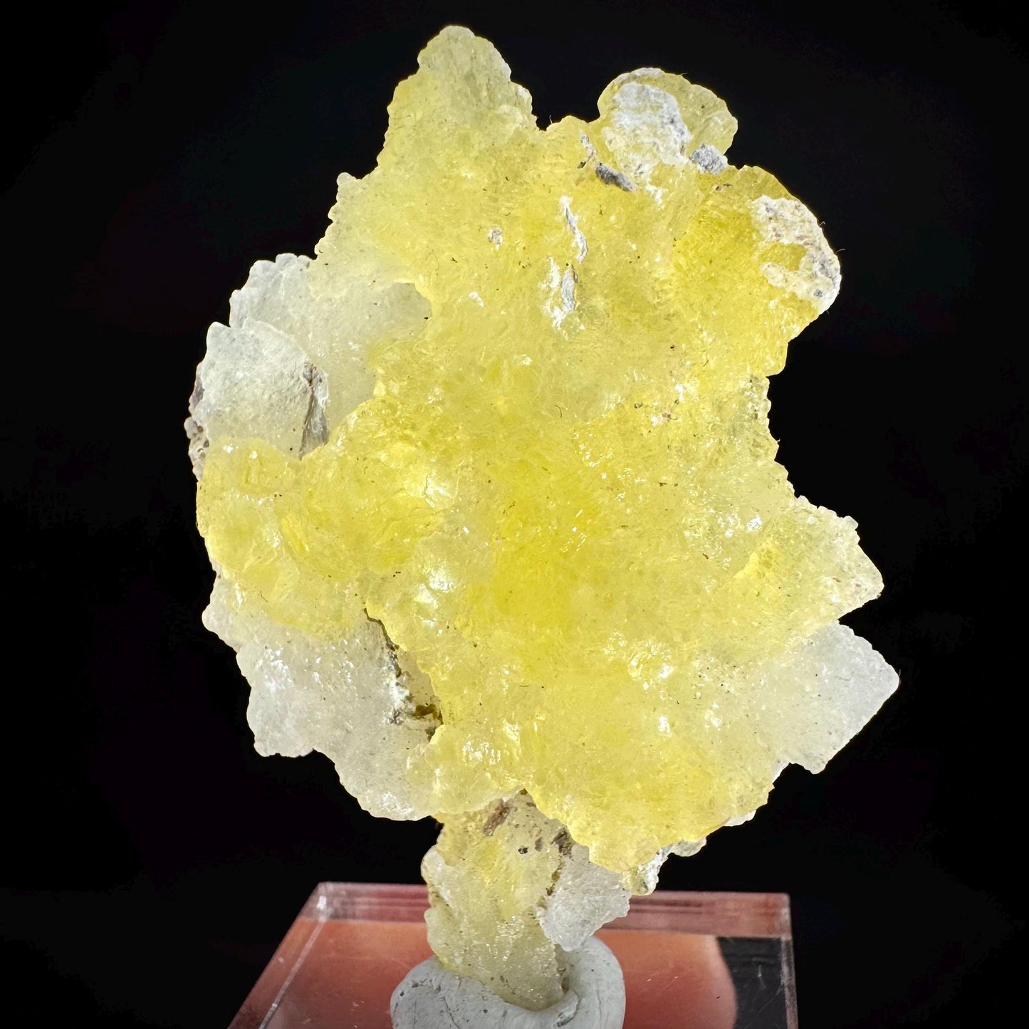 Brucite | Yellow Crystal, Lustrous Mineral Specimen From Pakistan