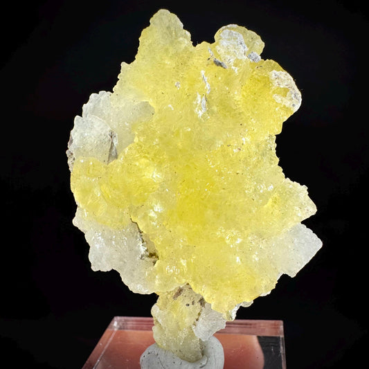 Brucite | Yellow Crystal, Lustrous Mineral Specimen From Pakistan
