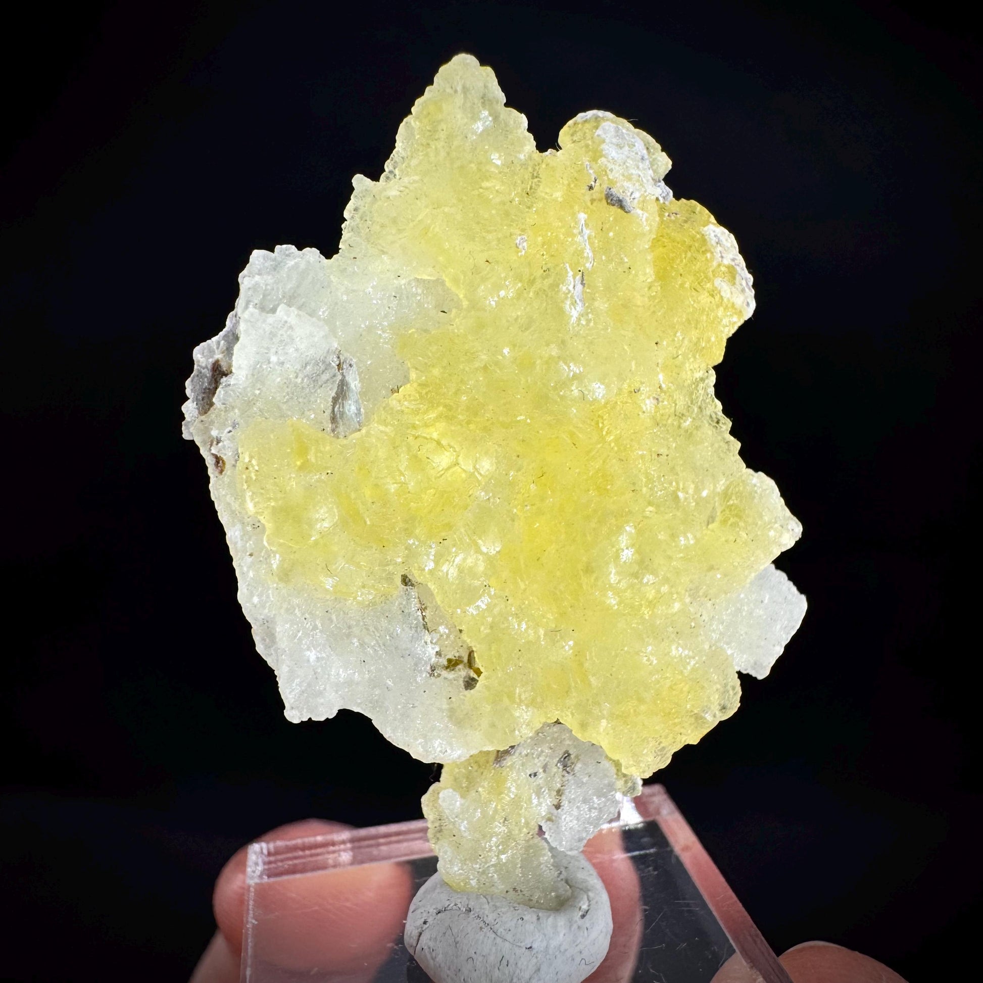 Brucite | Yellow Crystal, Lustrous Mineral Specimen From Pakistan