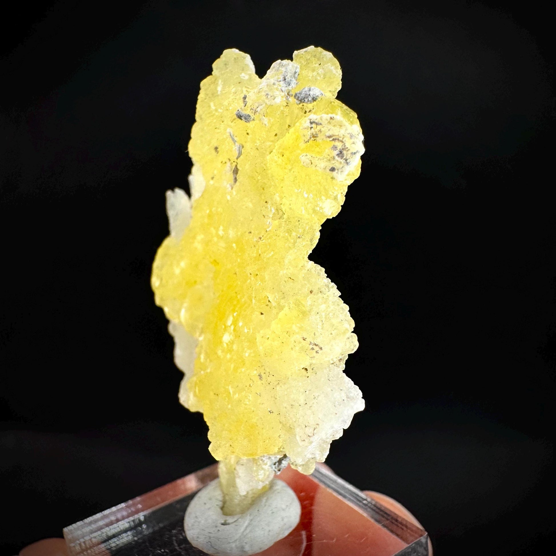 Brucite | Yellow Crystal, Lustrous Mineral Specimen From Pakistan