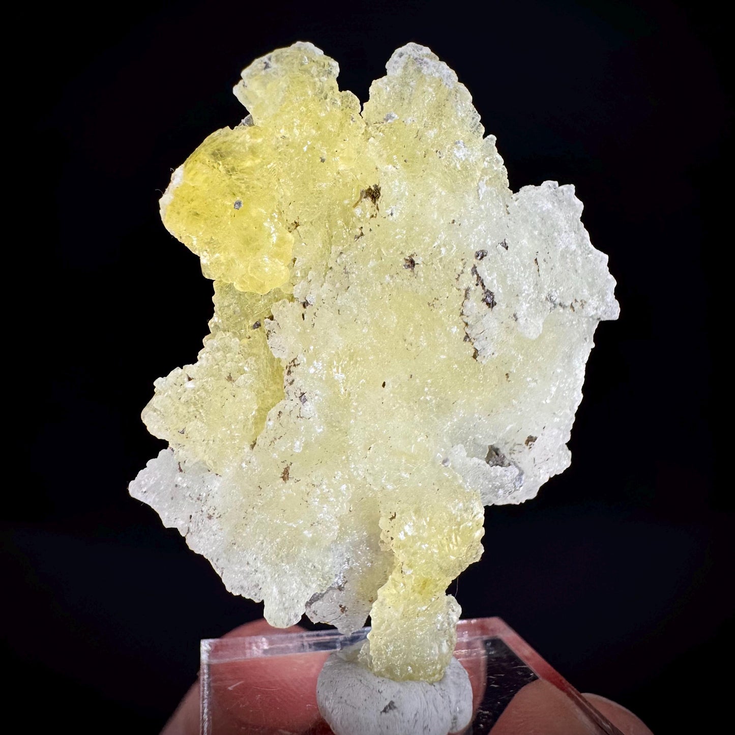Brucite | Yellow Crystal, Lustrous Mineral Specimen From Pakistan