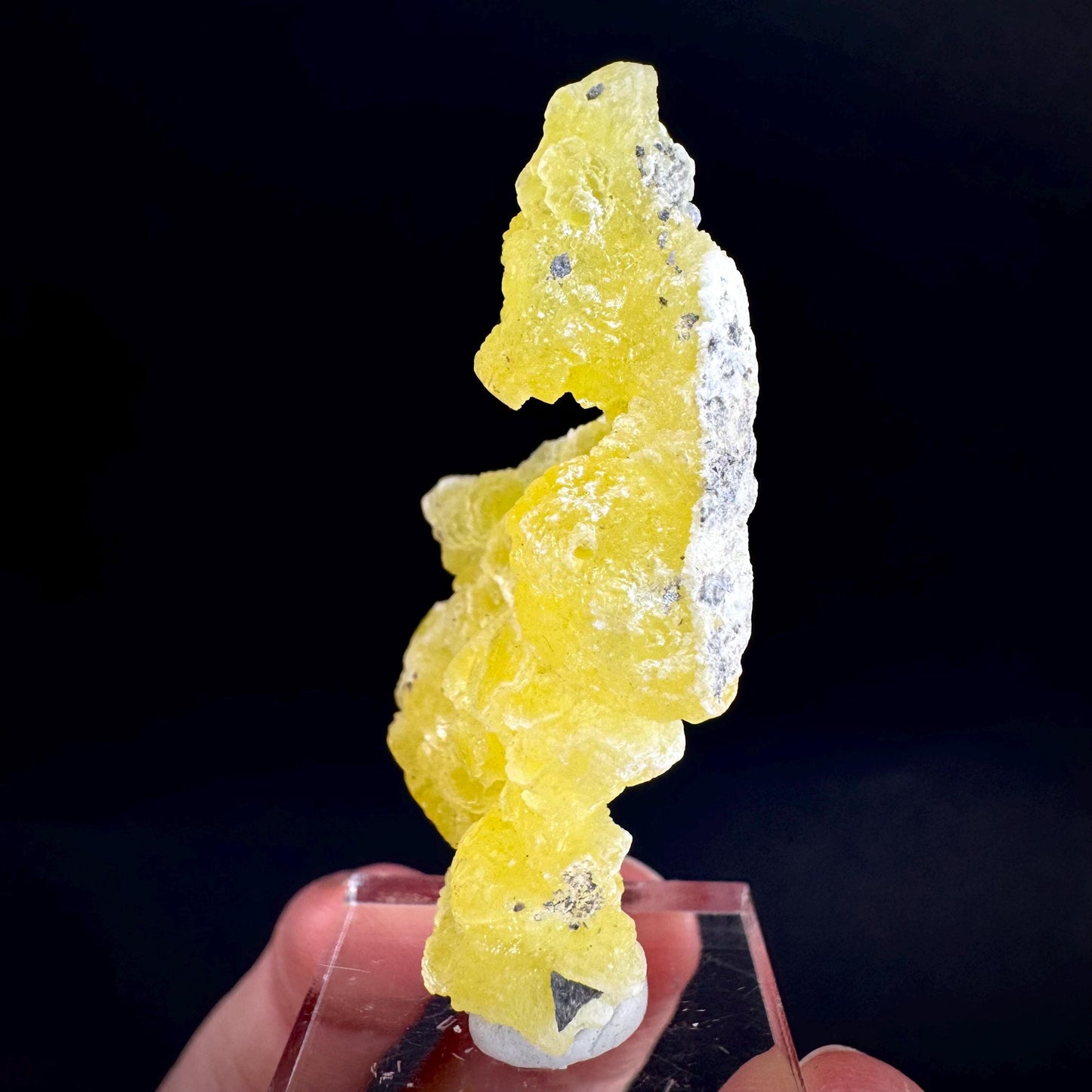 Brucite | Yellow Crystal, Lustrous Mineral Specimen From Pakistan