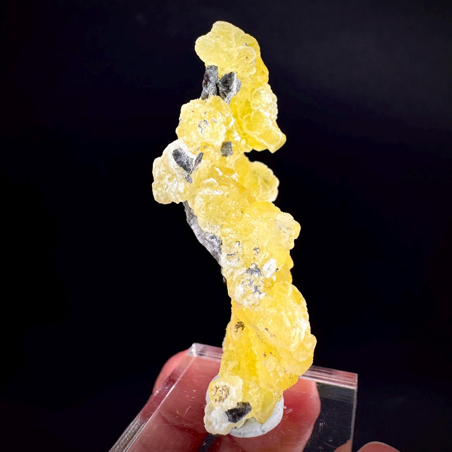 Brucite | Yellow Crystal, Lustrous Mineral Specimen From Pakistan