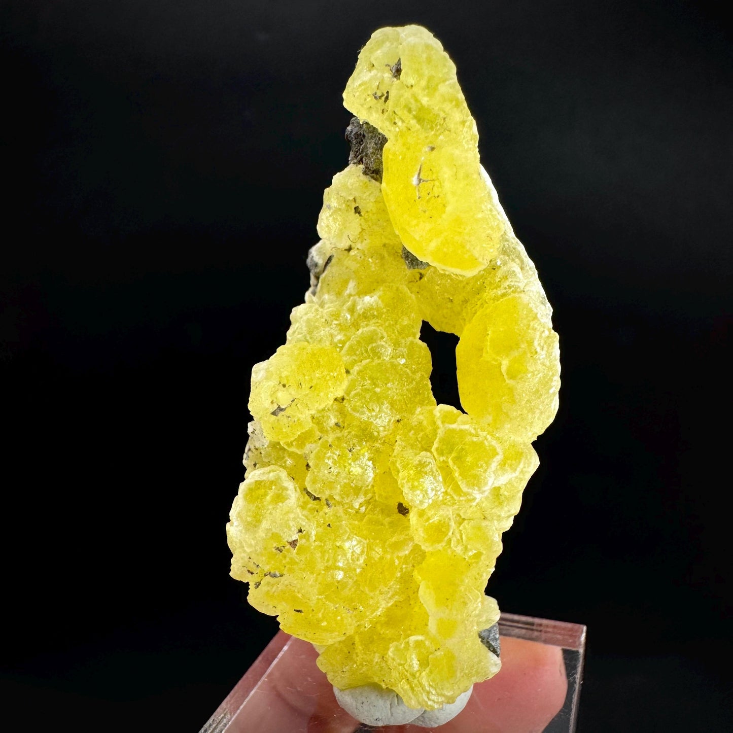 Brucite | Yellow Crystal, Lustrous Mineral Specimen From Pakistan