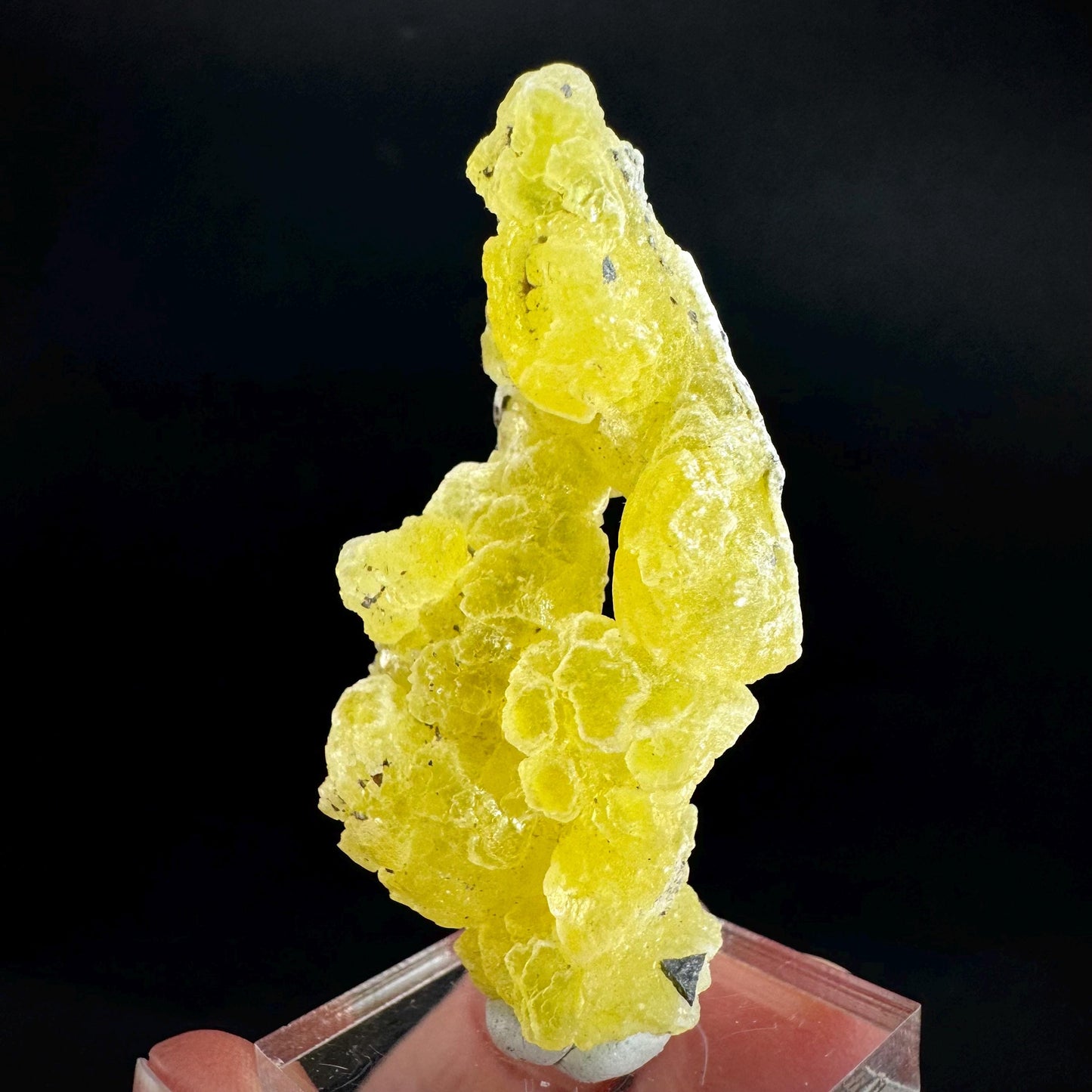 Brucite | Yellow Crystal, Lustrous Mineral Specimen From Pakistan