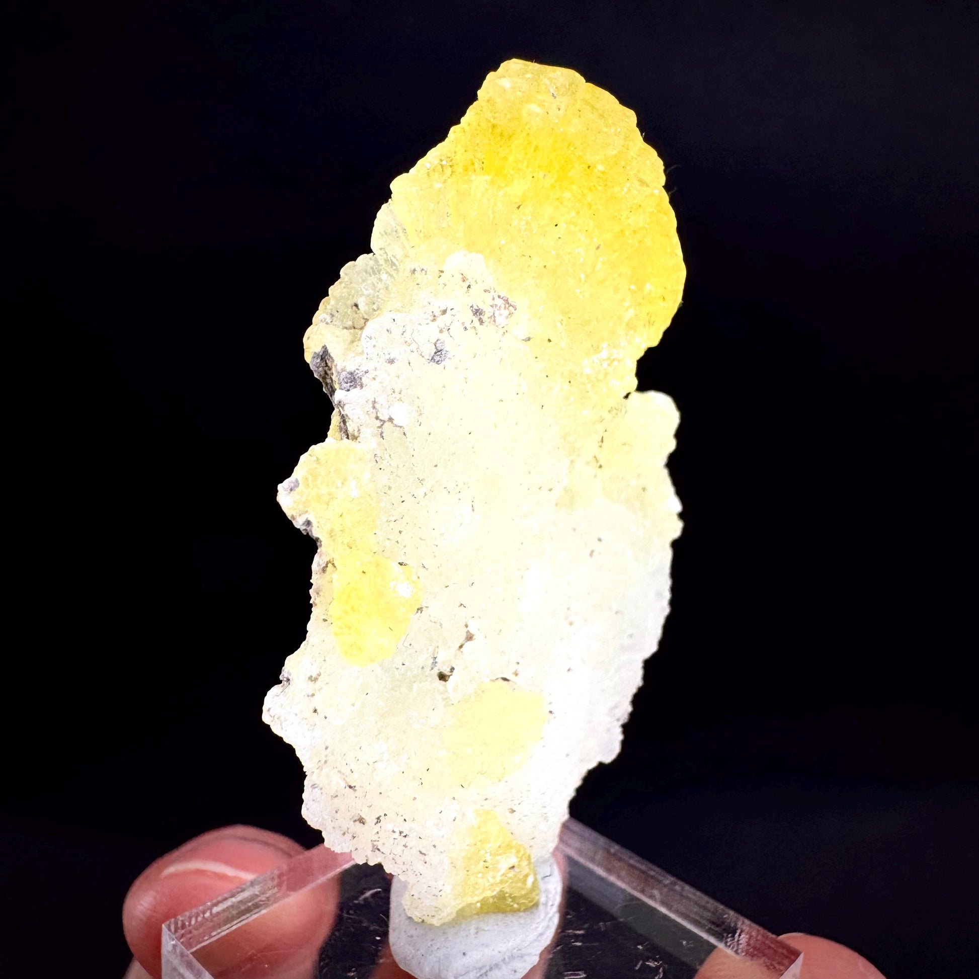 Brucite | Yellow Crystal, Lustrous Mineral Specimen From Pakistan