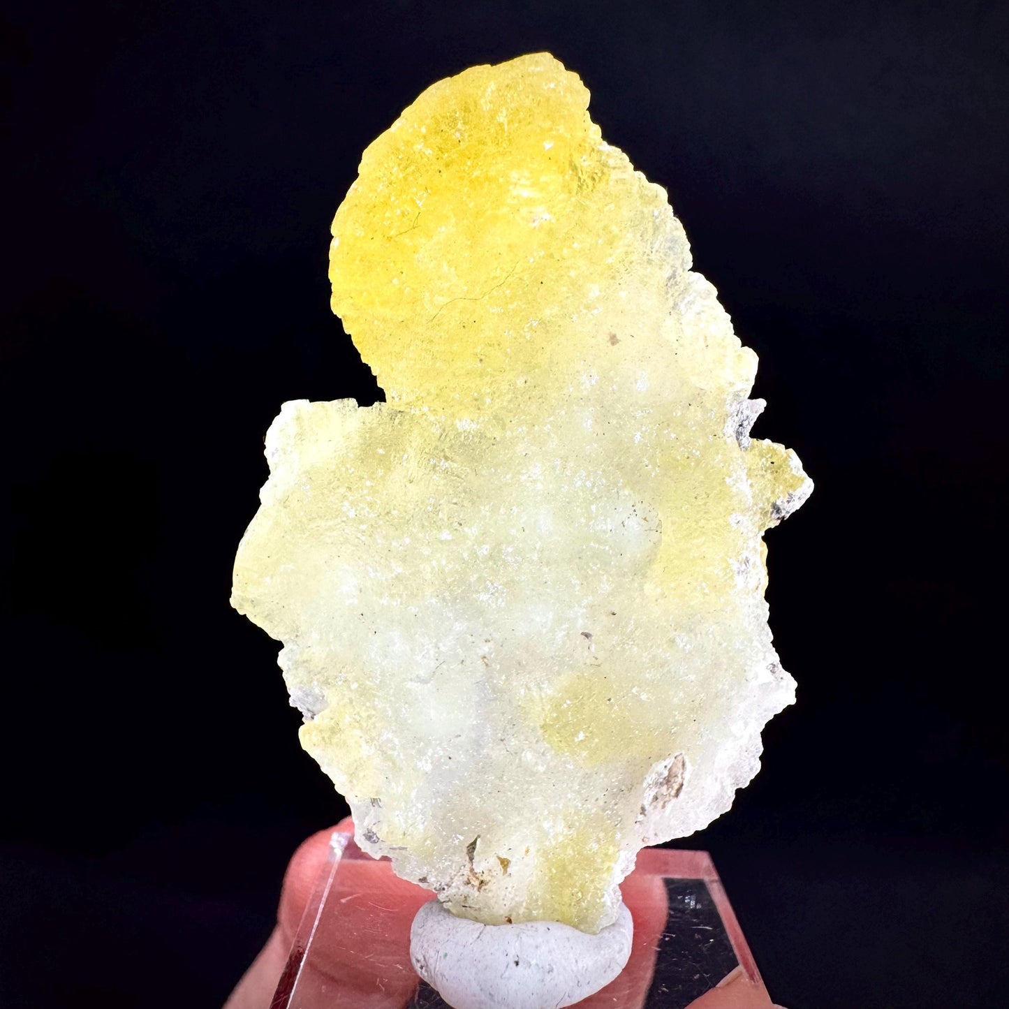 Brucite | Yellow Crystal, Lustrous Mineral Specimen From Pakistan