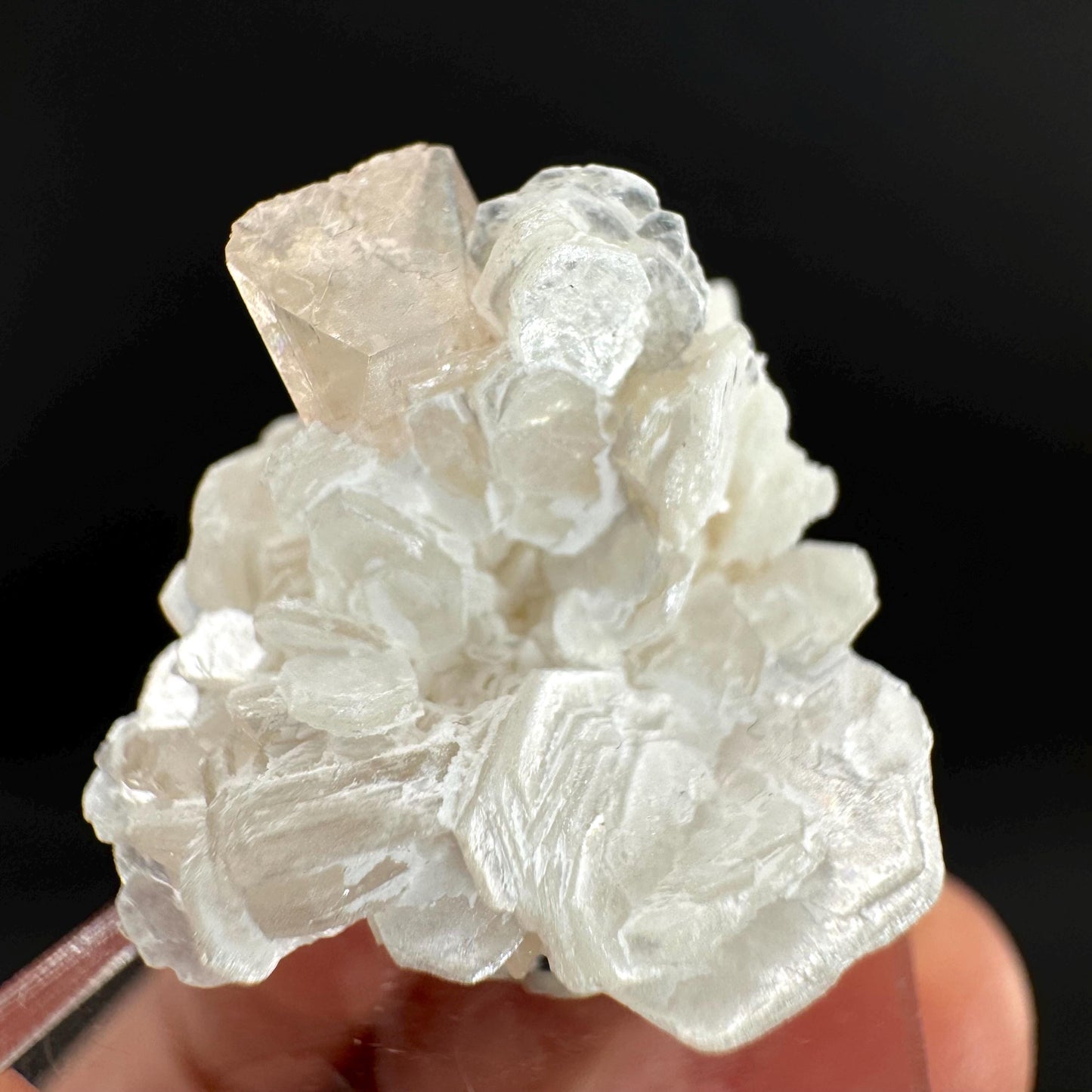 Topaz on Albite Matrix | Birthstone Crystal, Mineral Specimen from Pakistan