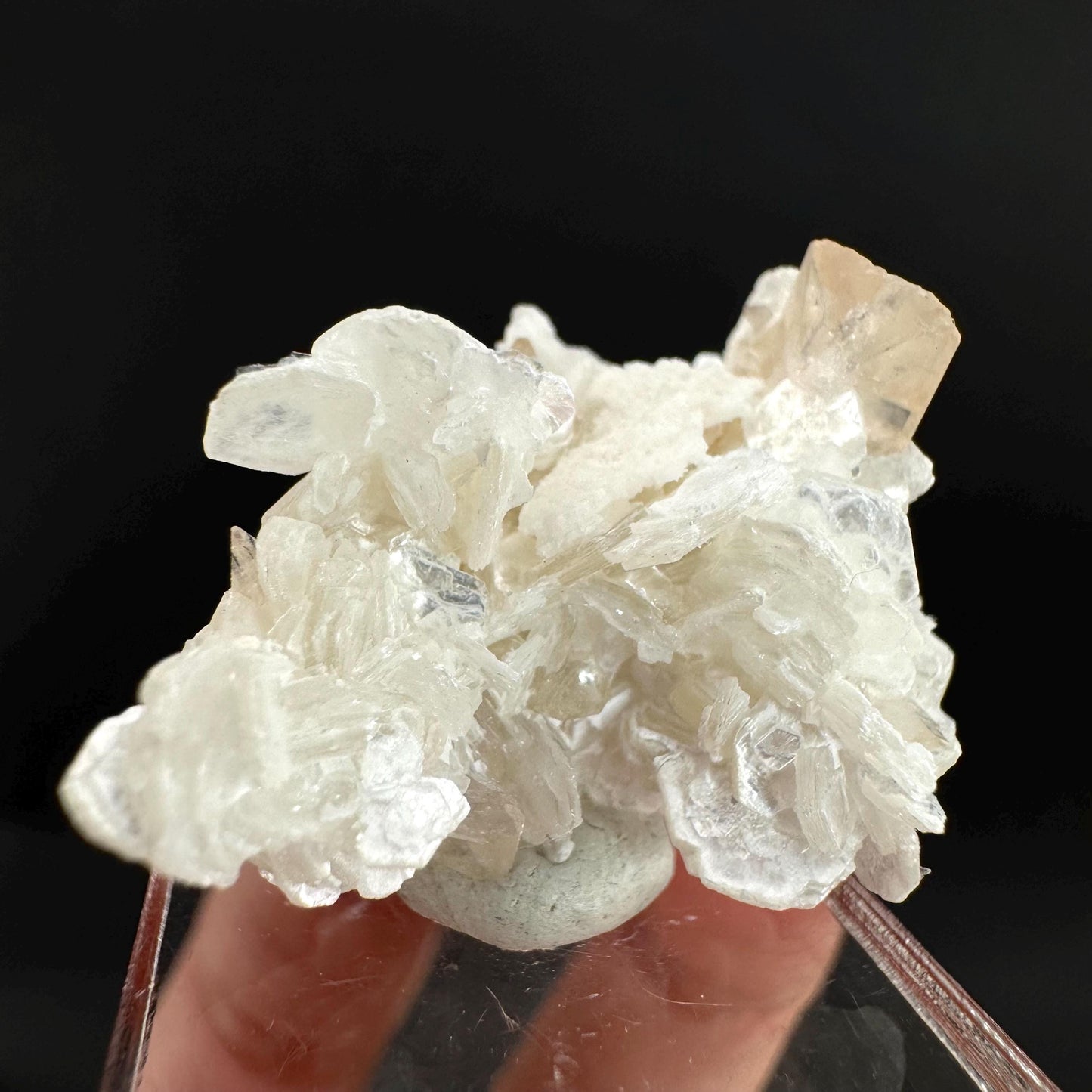 Topaz on Albite Matrix | Birthstone Crystal, Mineral Specimen from Pakistan