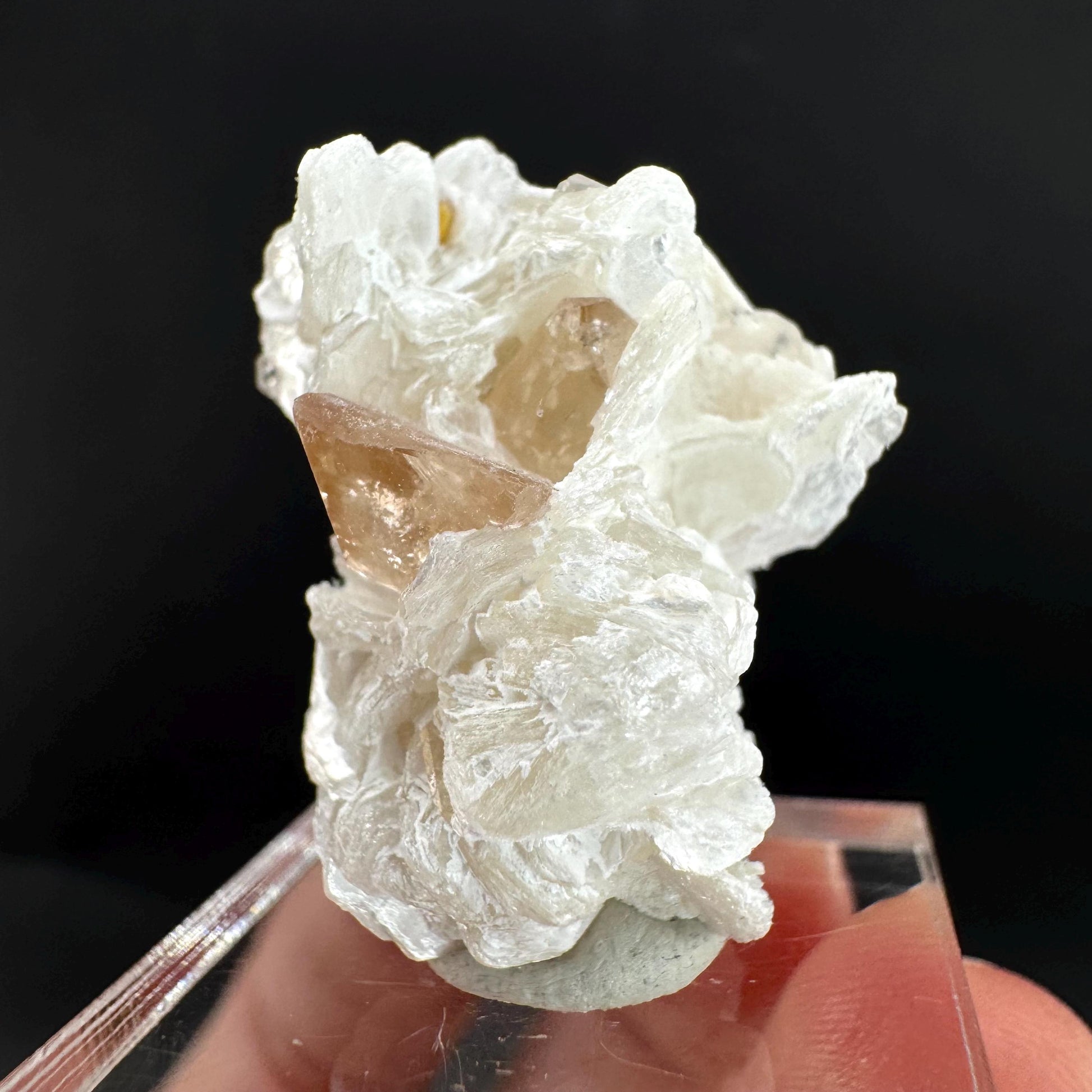 Topaz on Albite Matrix | Birthstone Crystal, Mineral Specimen from Pakistan
