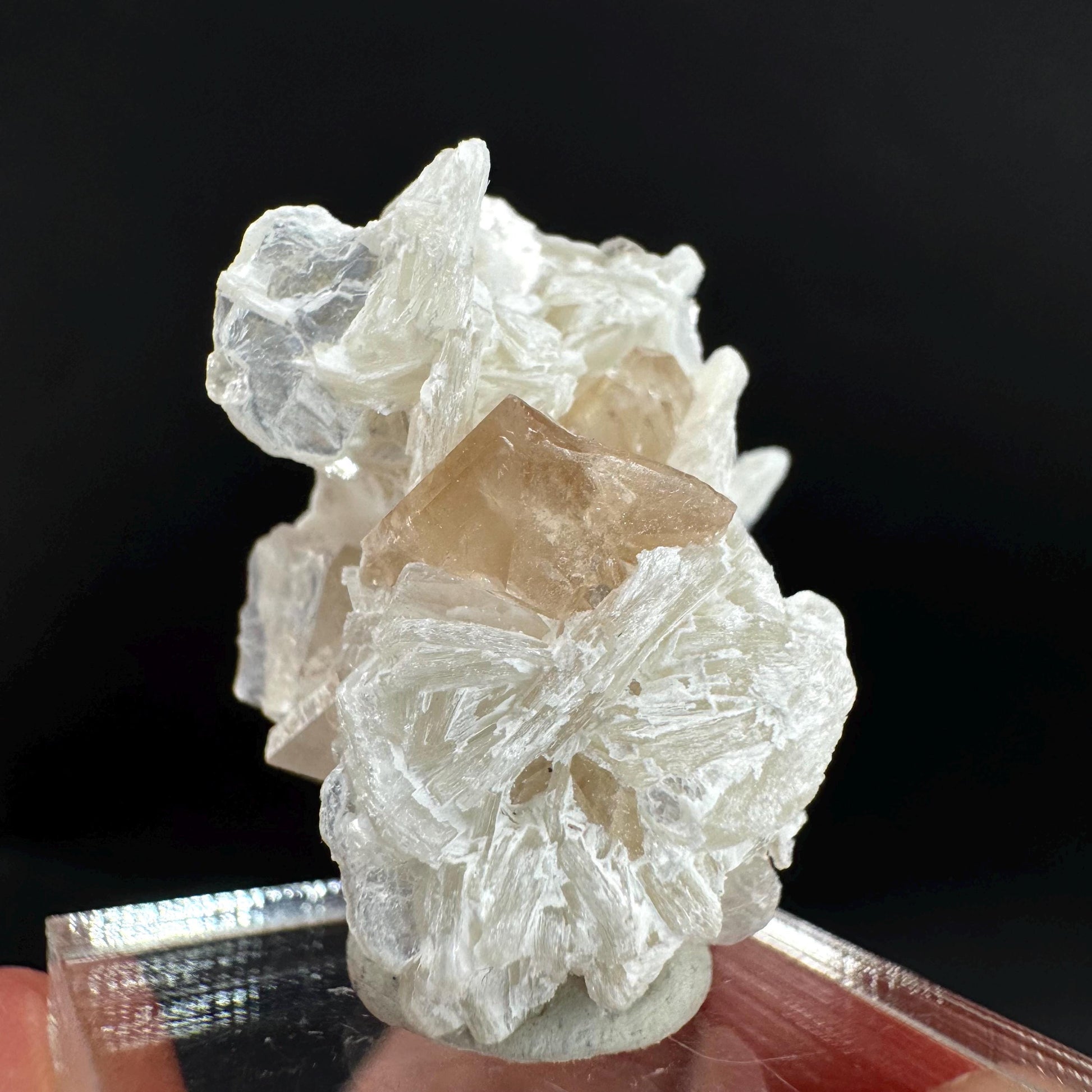 Topaz on Albite Matrix | Birthstone Crystal, Mineral Specimen from Pakistan