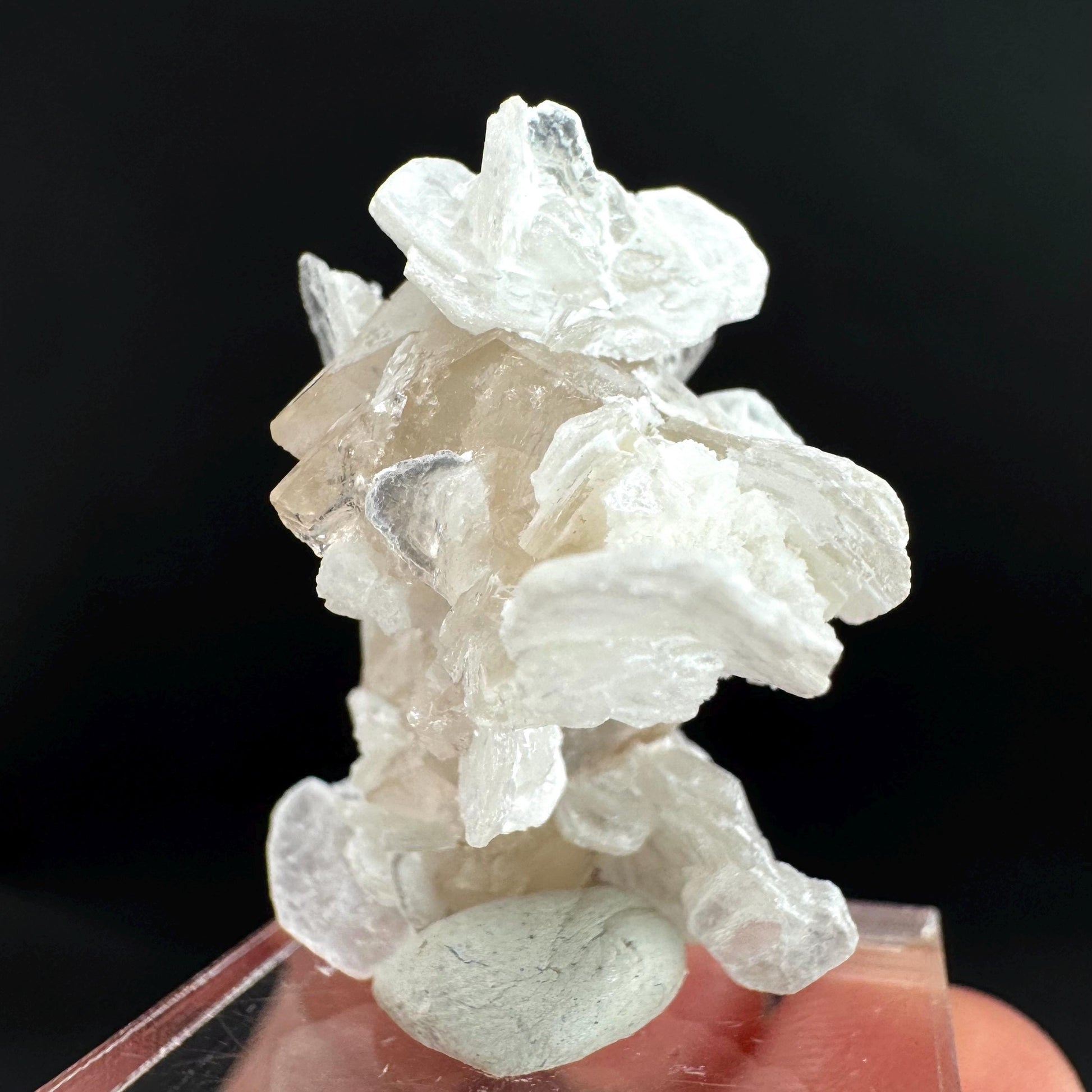 Topaz on Albite Matrix | Birthstone Crystal, Mineral Specimen from Pakistan
