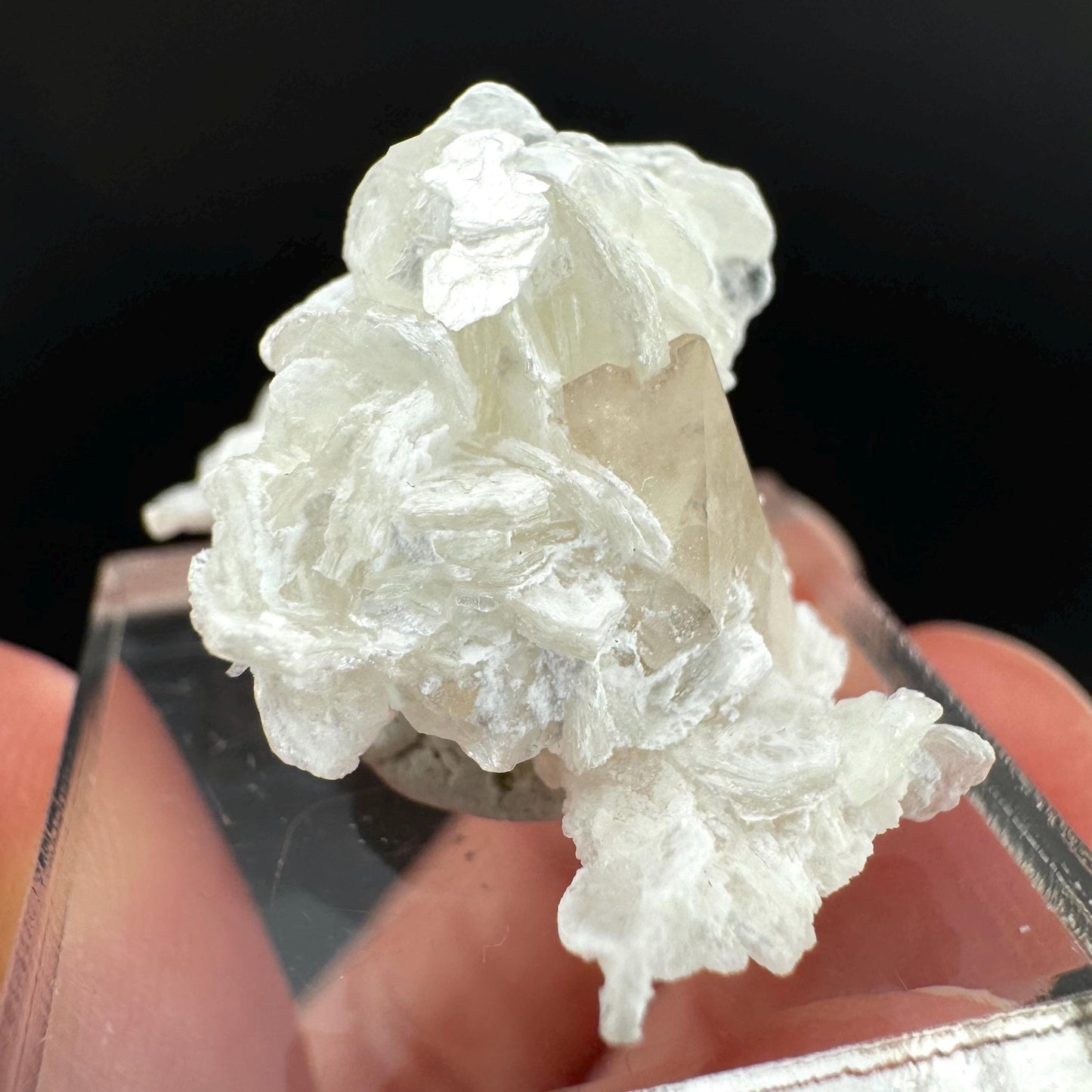 Topaz on Albite Matrix | Birthstone Crystal, Mineral Specimen from Pakistan