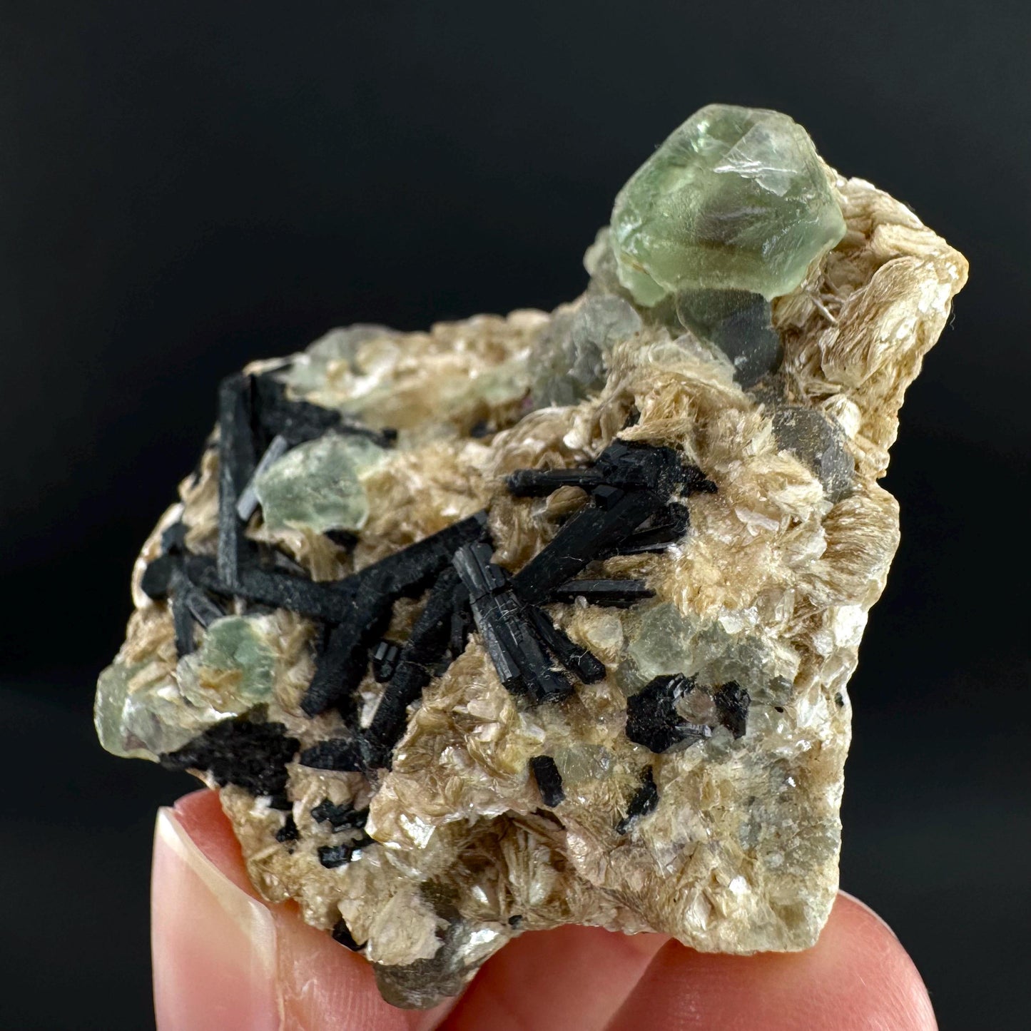 Fluorite w/ Schorl, & Muscovite | Lollipop Pocket, green crystal cluster, mineral specimen from Namibia