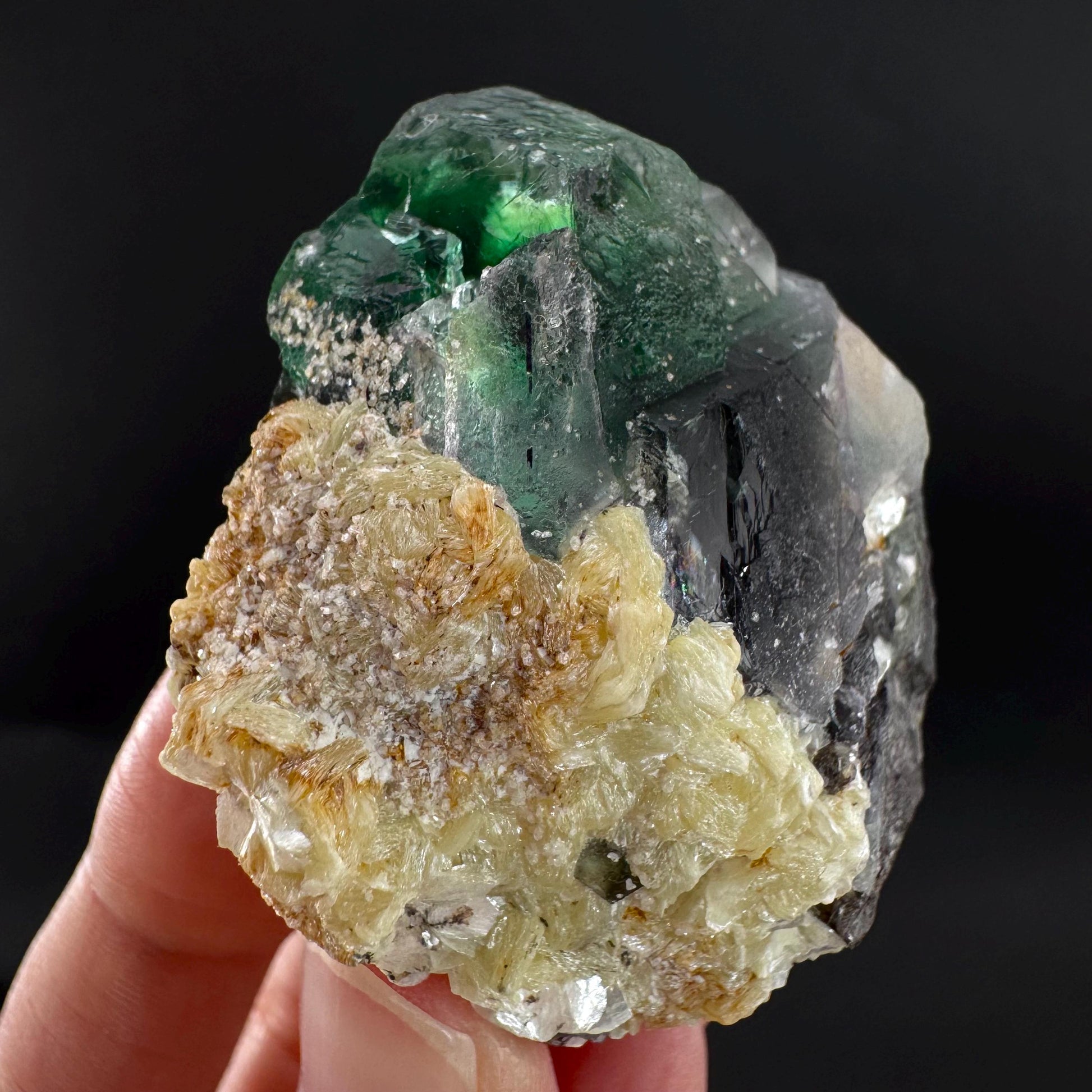 Fluorite | green crystal, mineral specimen from Erongo, Namibia