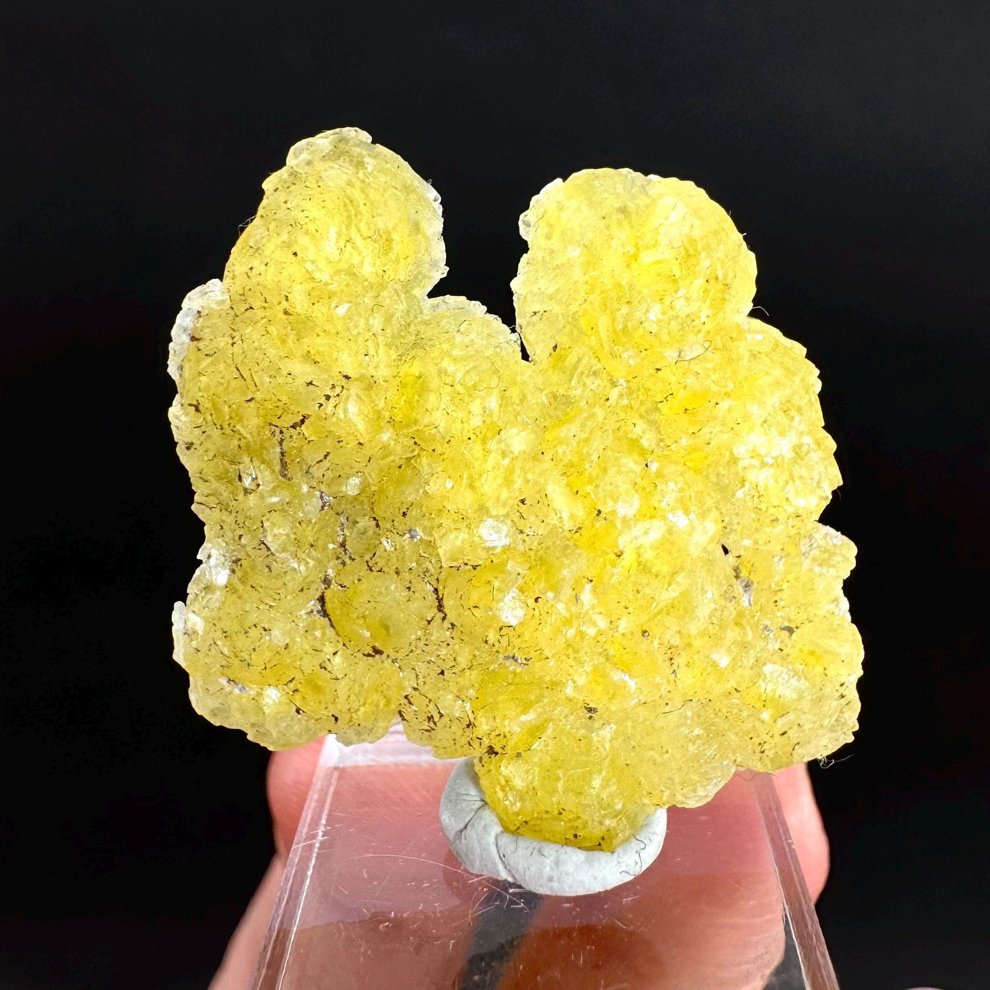Brucite | Yellow Crystal, Lustrous Mineral Specimen From Pakistan