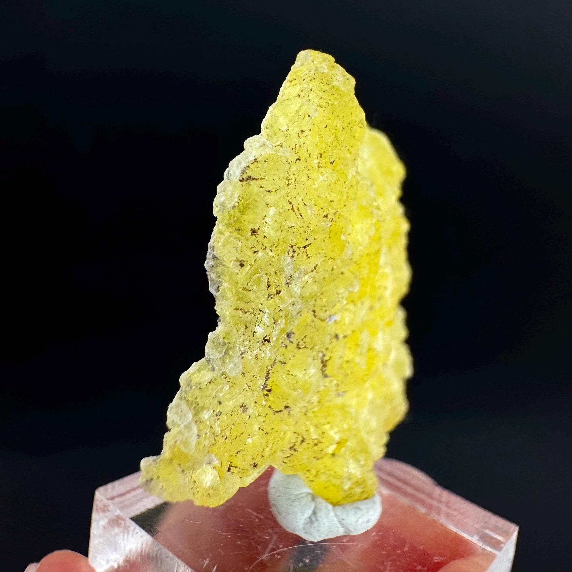 Brucite | Yellow Crystal, Lustrous Mineral Specimen From Pakistan