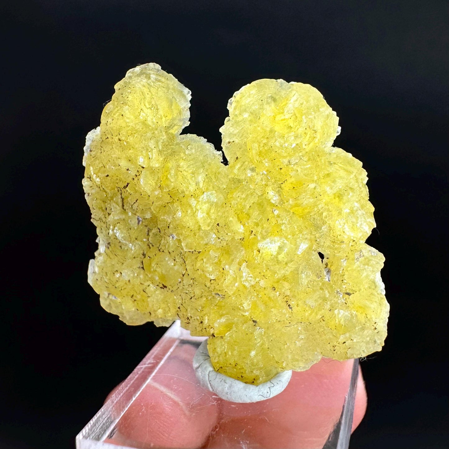Brucite | Yellow Crystal, Lustrous Mineral Specimen From Pakistan