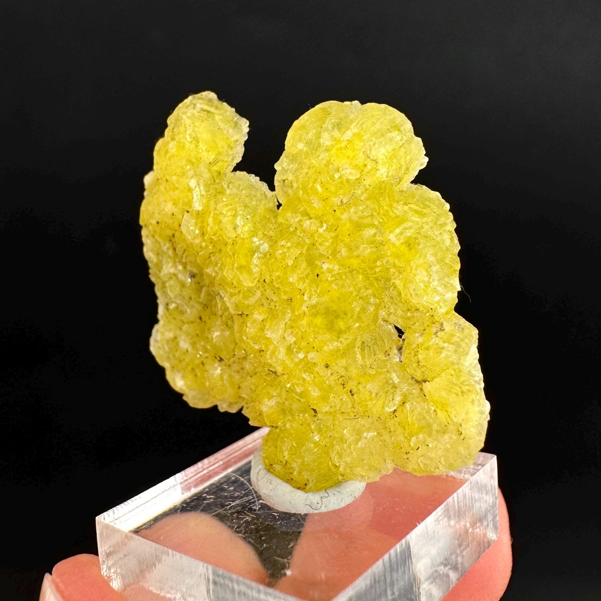 Brucite | Yellow Crystal, Lustrous Mineral Specimen From Pakistan