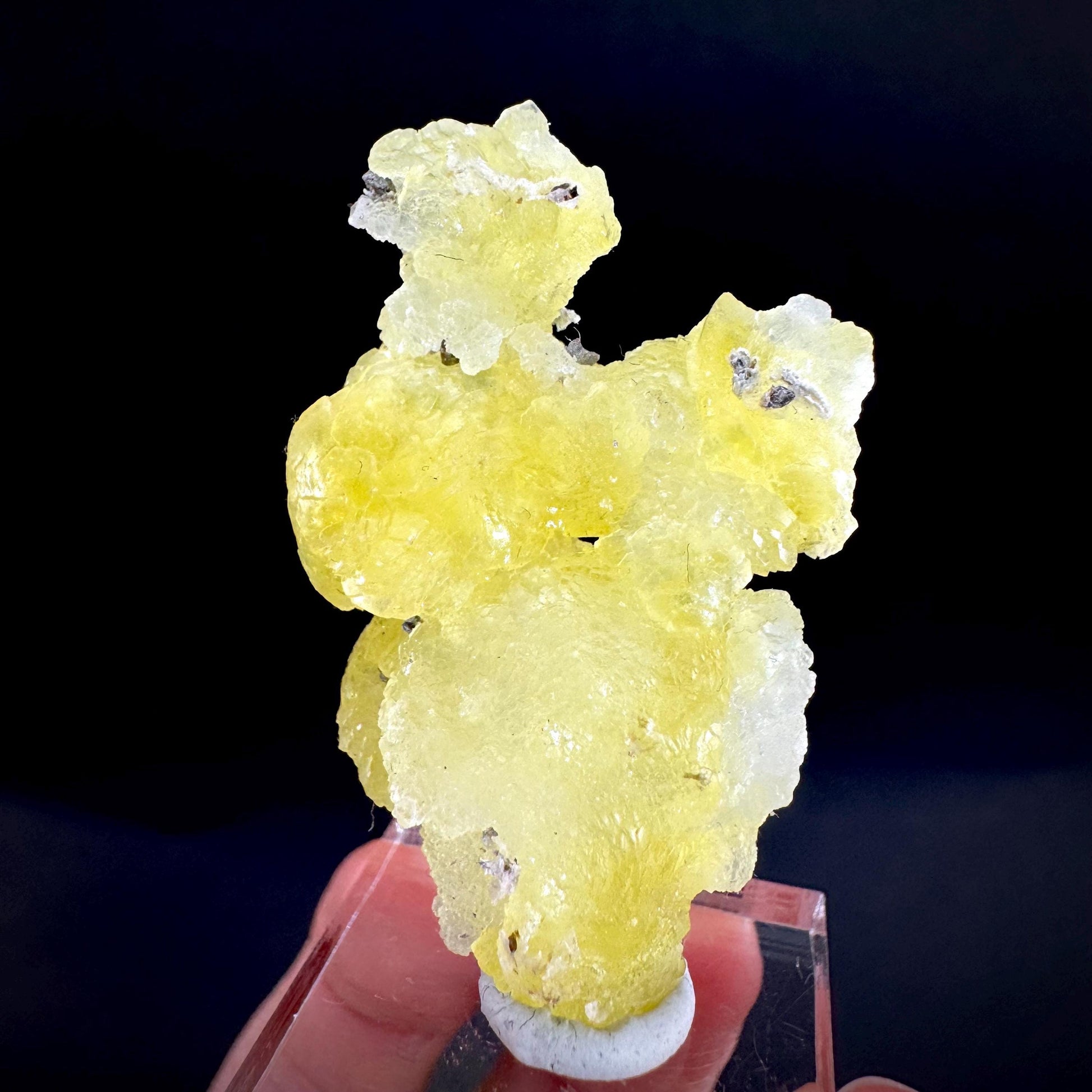 Brucite | Yellow Crystal, Lustrous Mineral Specimen From Pakistan