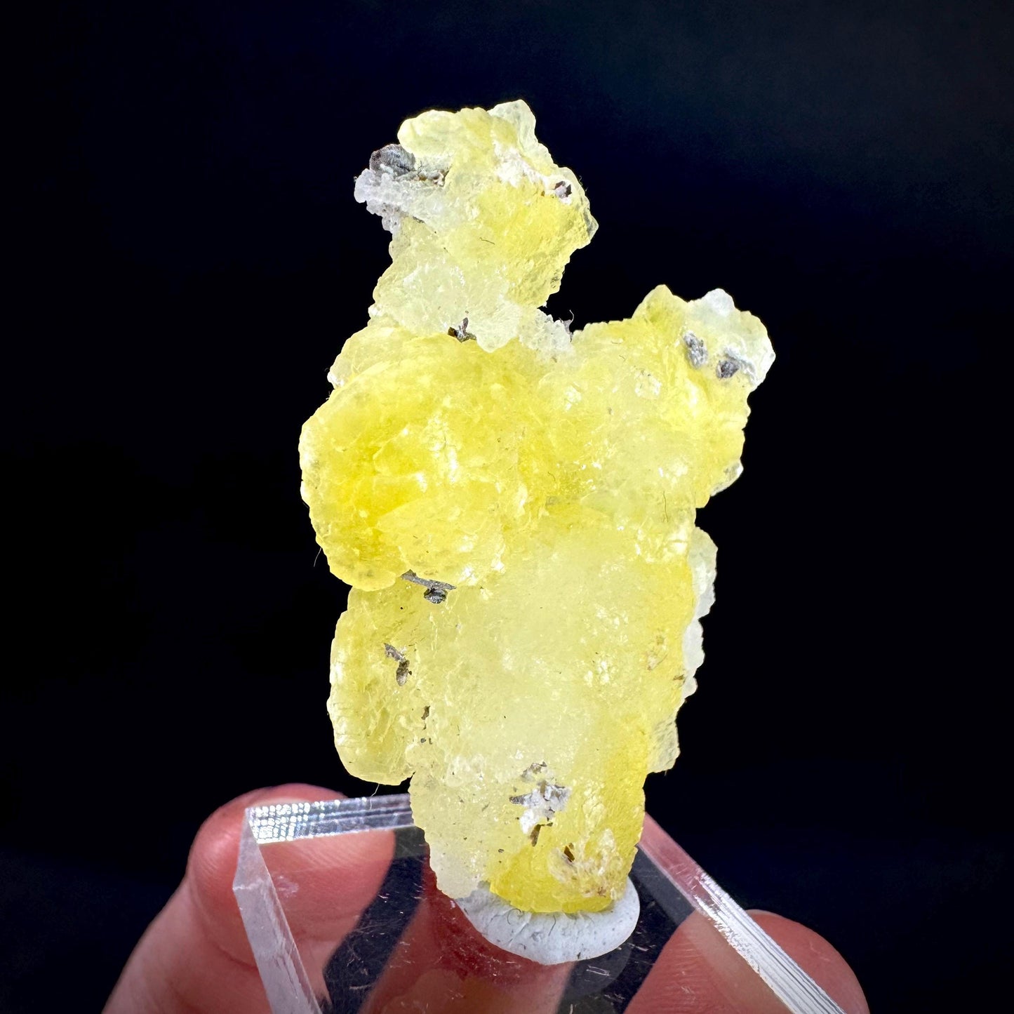 Brucite | Yellow Crystal, Lustrous Mineral Specimen From Pakistan